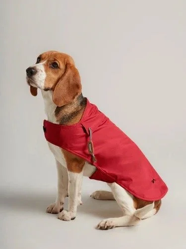 05581_05582_05583_05584_1_250x250@2x Large.jpeg