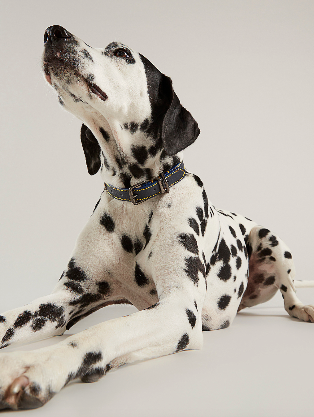 Screenshot 2023-05-31 at 18.23.09.png