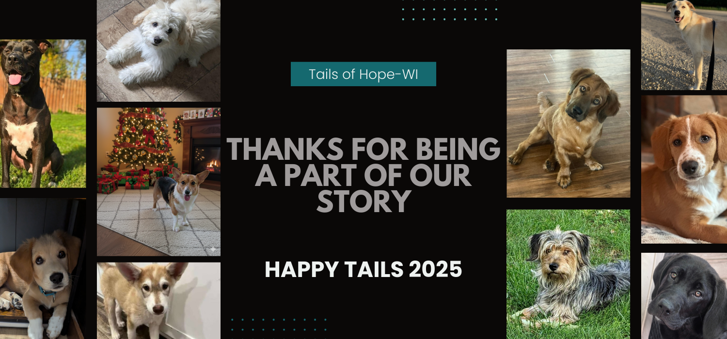 CURRENT BRANDING - WEBSITE BANNERS  (2).png