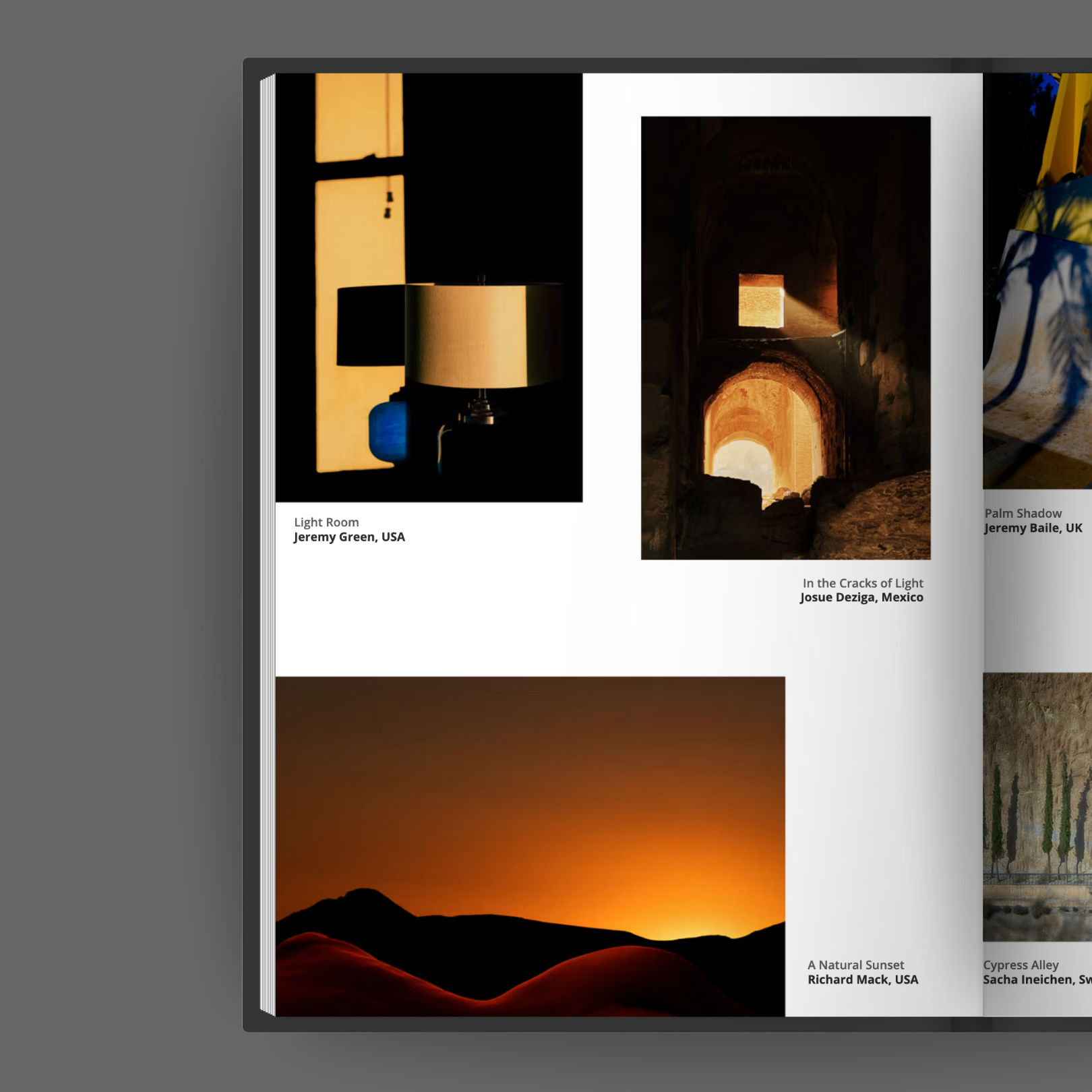 Untitled design (6).png