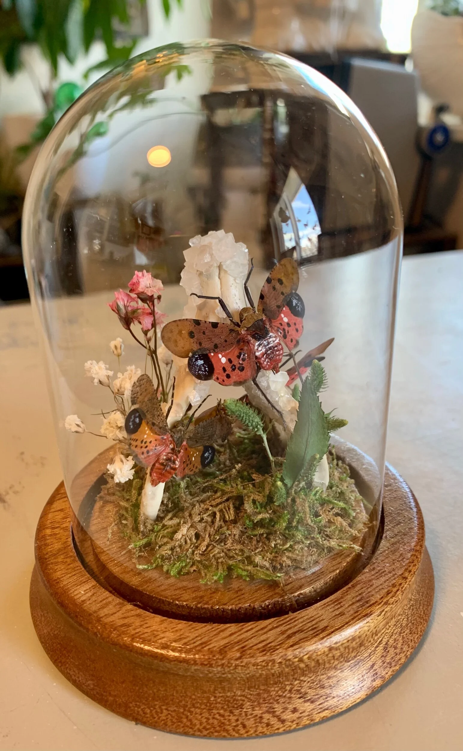 0C3699B0-0F64-4A0D-B58E-23217C42D540