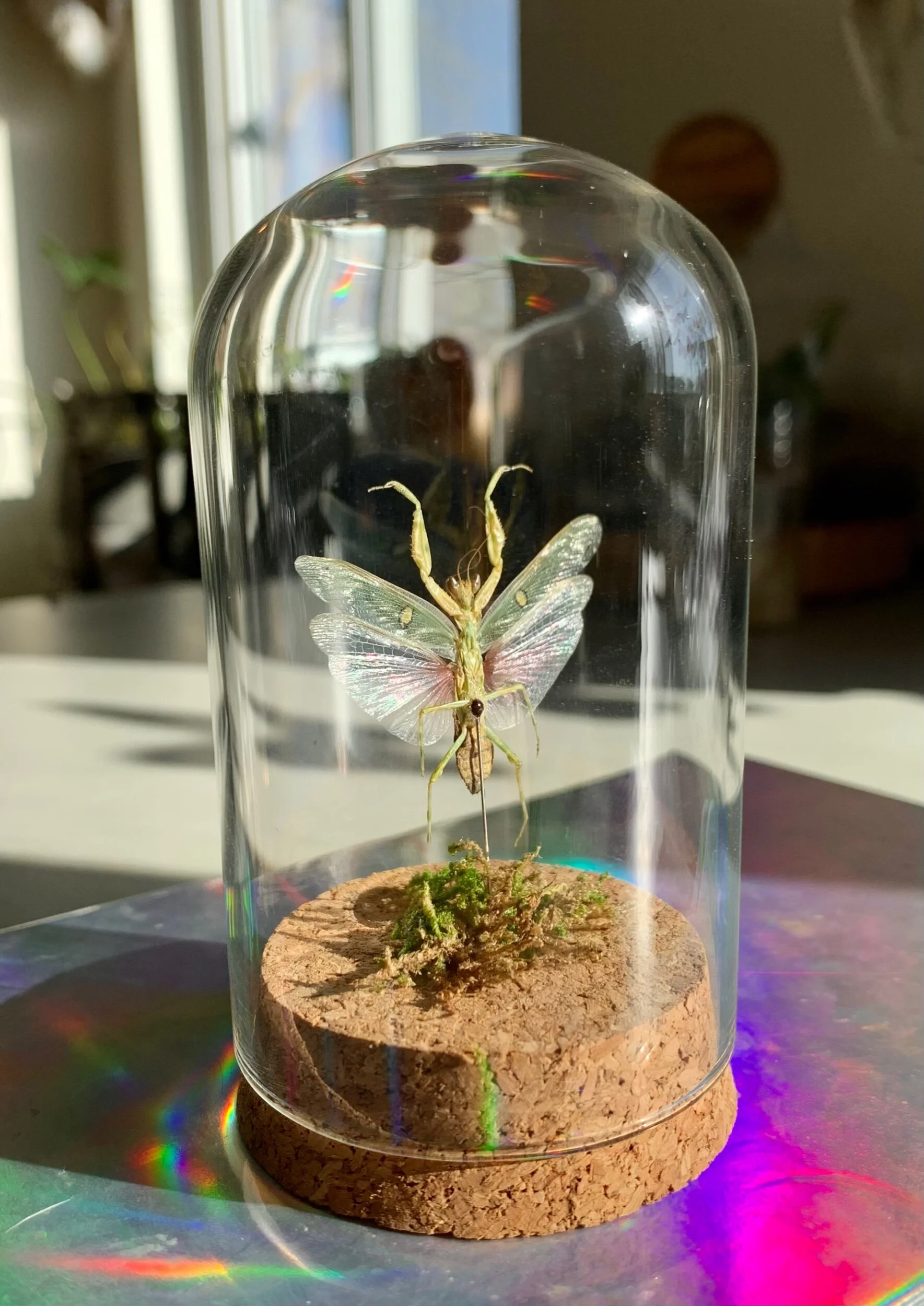 8095CABE-286E-4306-AC4D-86E3FC4576A4