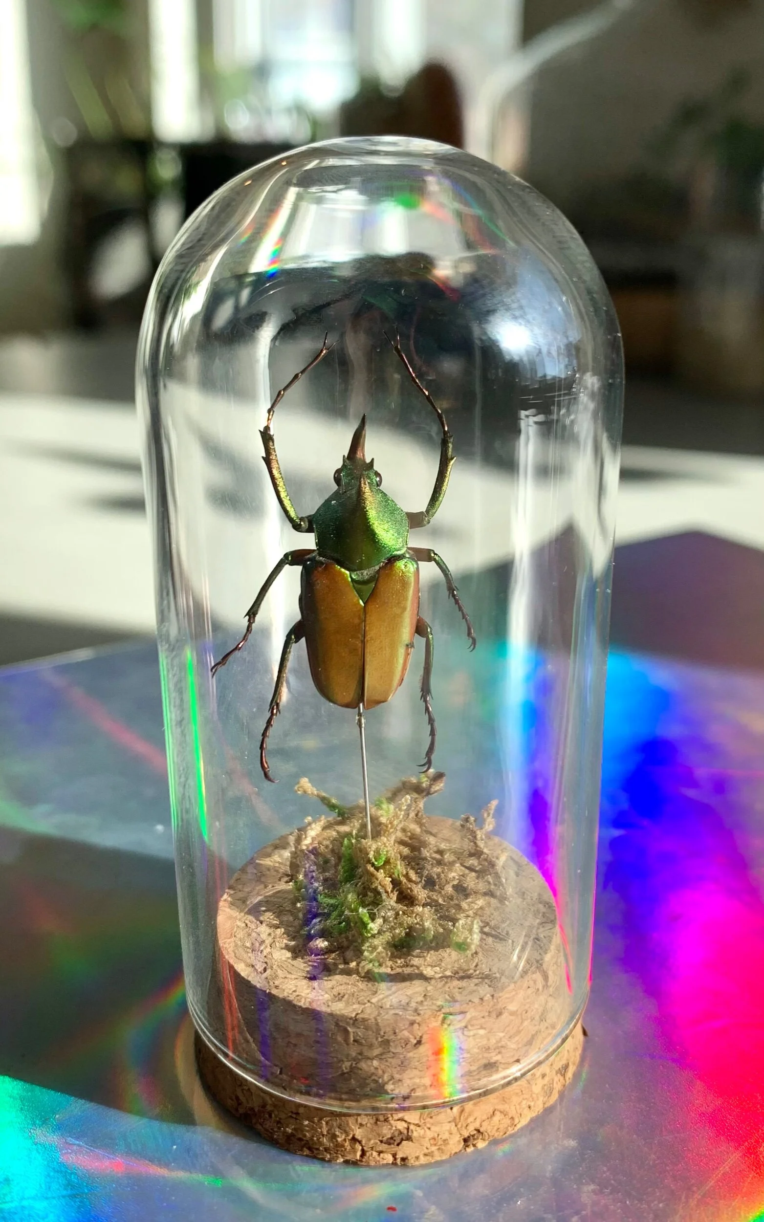 D3266697-0619-488A-BE44-737D8A375F4A