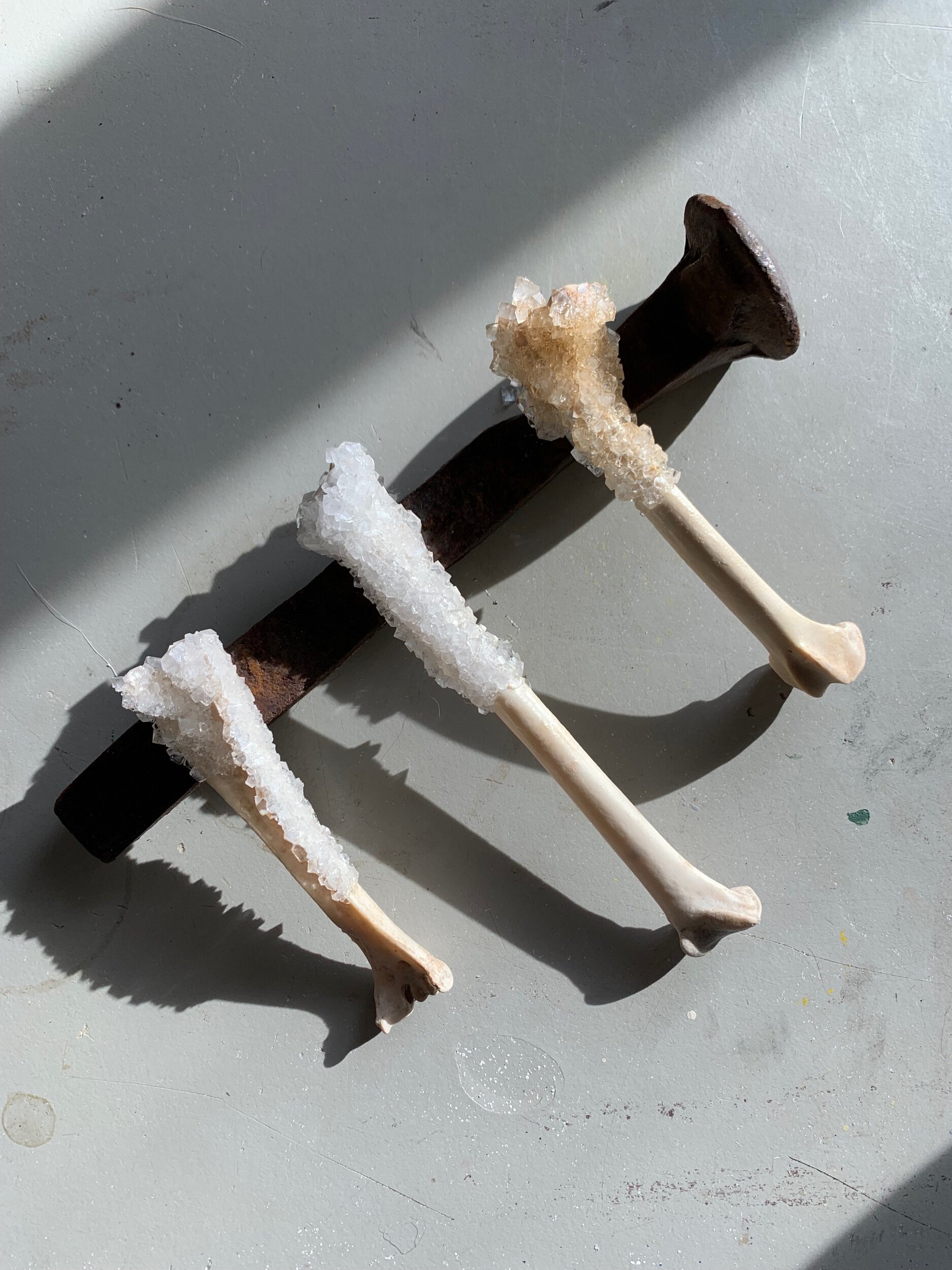 F6D0484B-5C41-4389-A453-F4D8A1BD9817