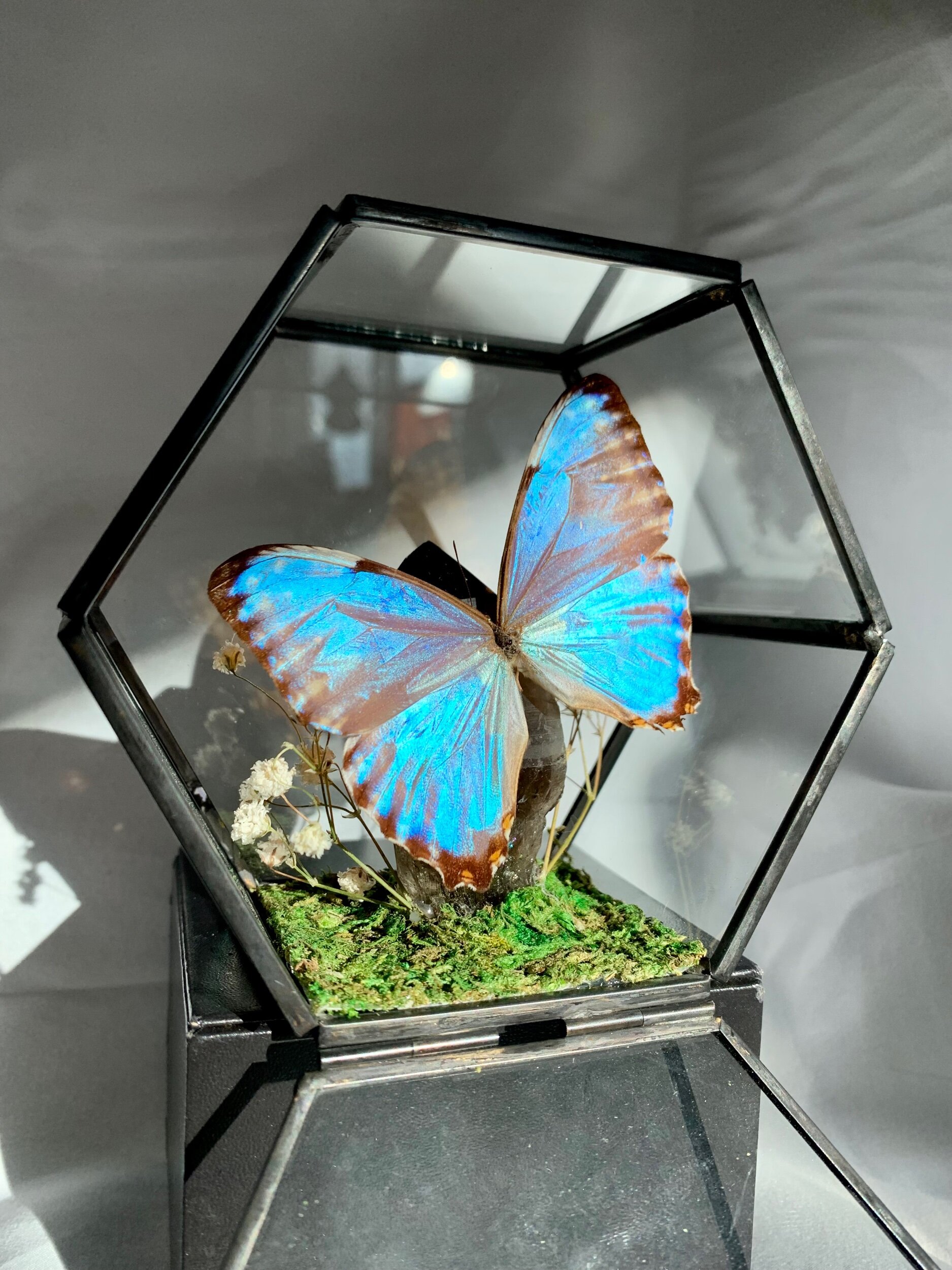 0327EC97-3796-45DD-89AA-F12D0A54F4CA