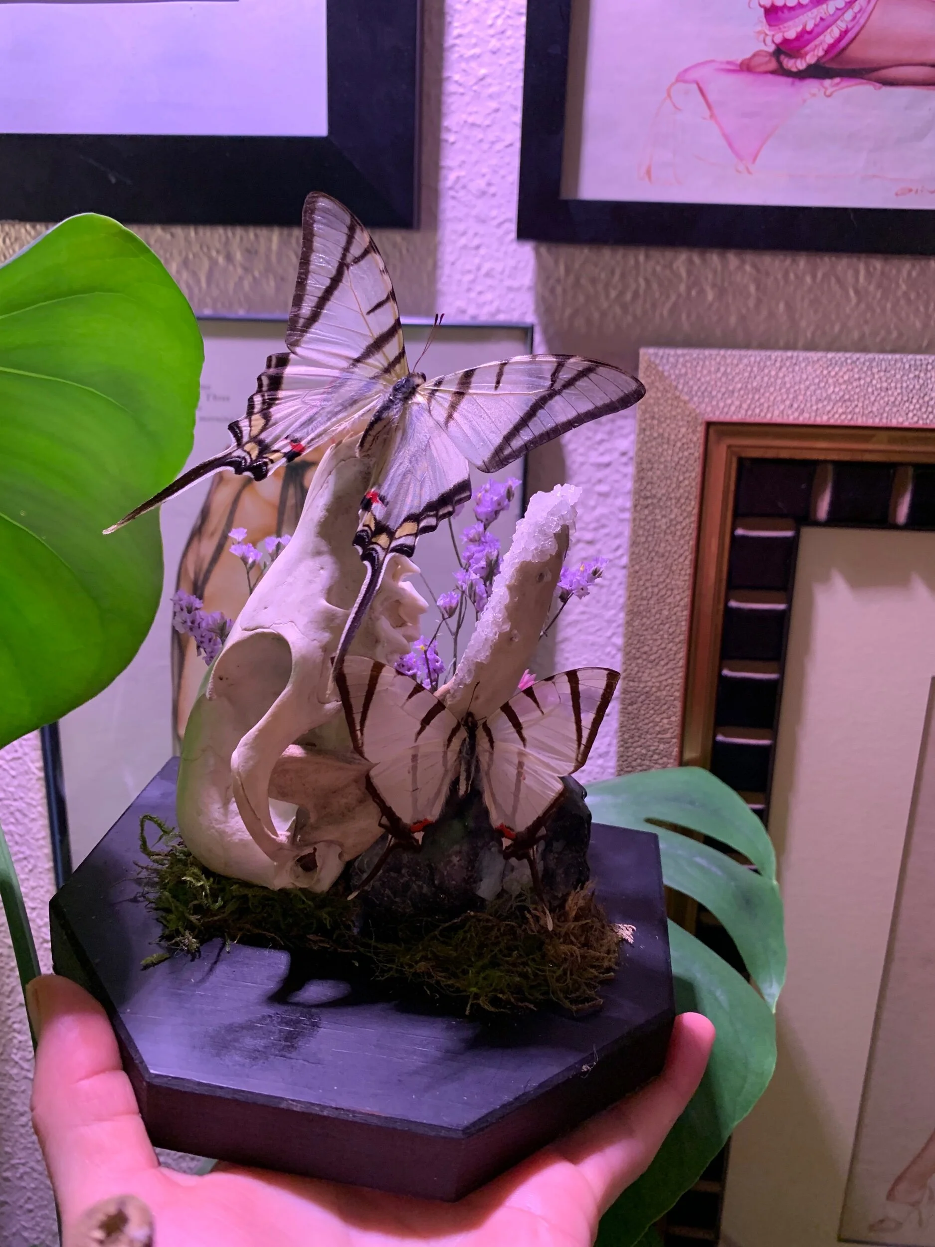 D717C1EB-C71D-4FE9-AB1D-AD1B5EE256DC