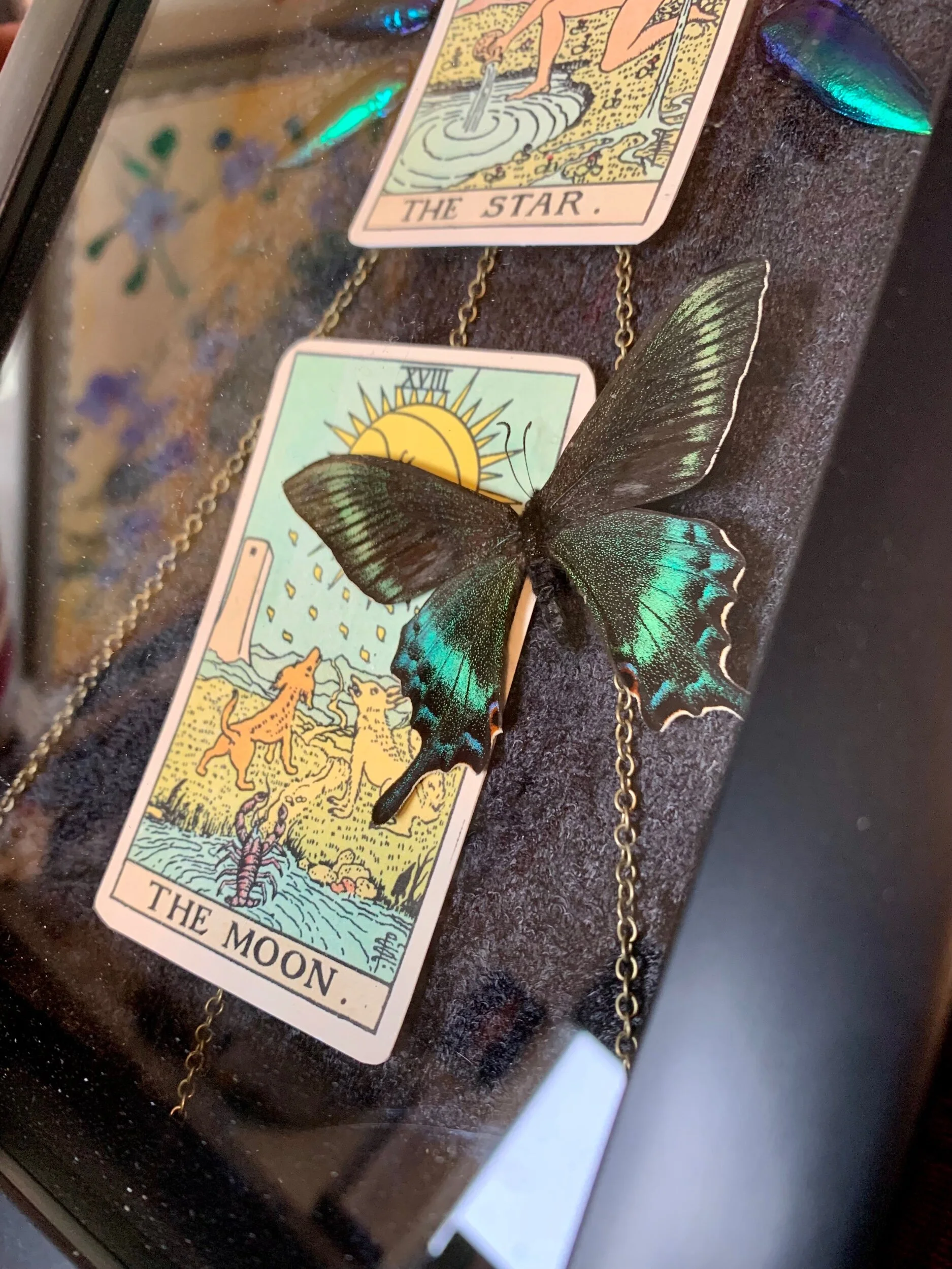 3D26E8BB-B533-4ED1-877B-D10D7B0F298D