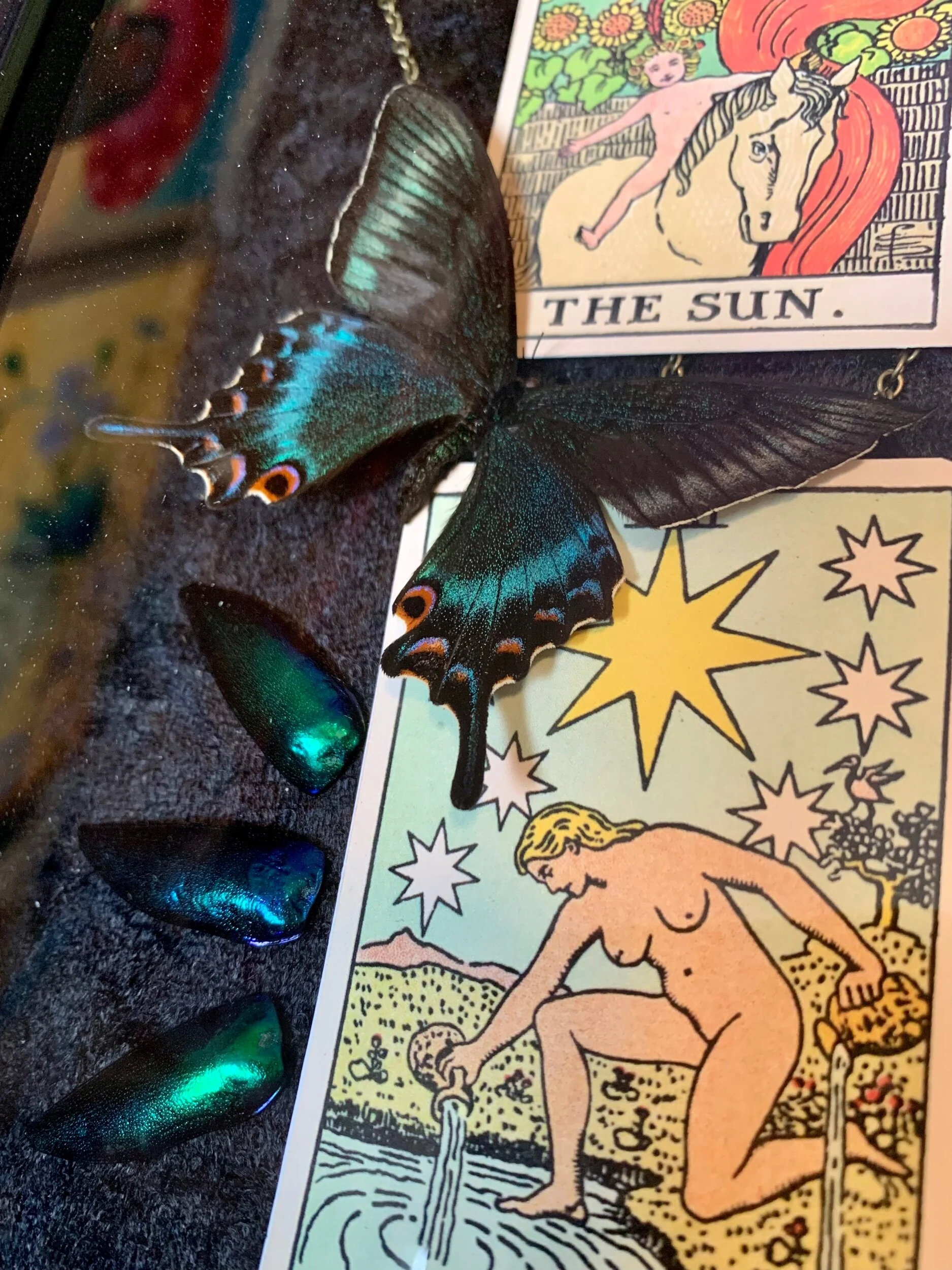 002FDF54-D699-475F-9C1A-FE46D2FE75B4