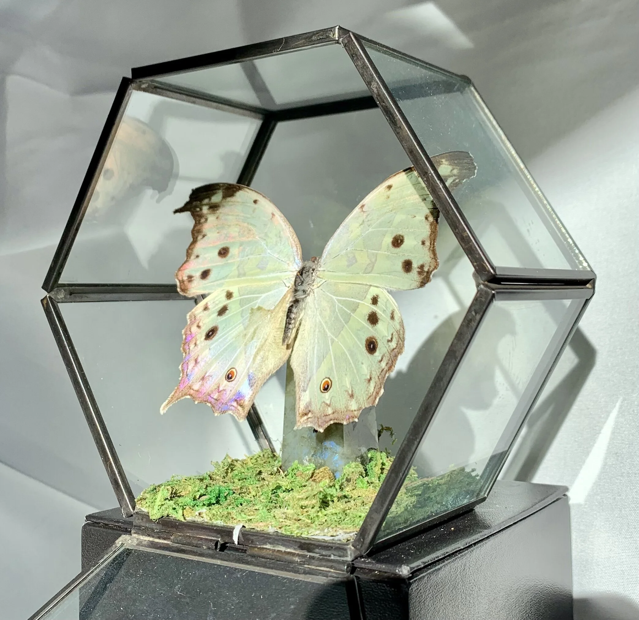 3E9ACC73-699C-4D1E-81B4-D63B3AEAD417