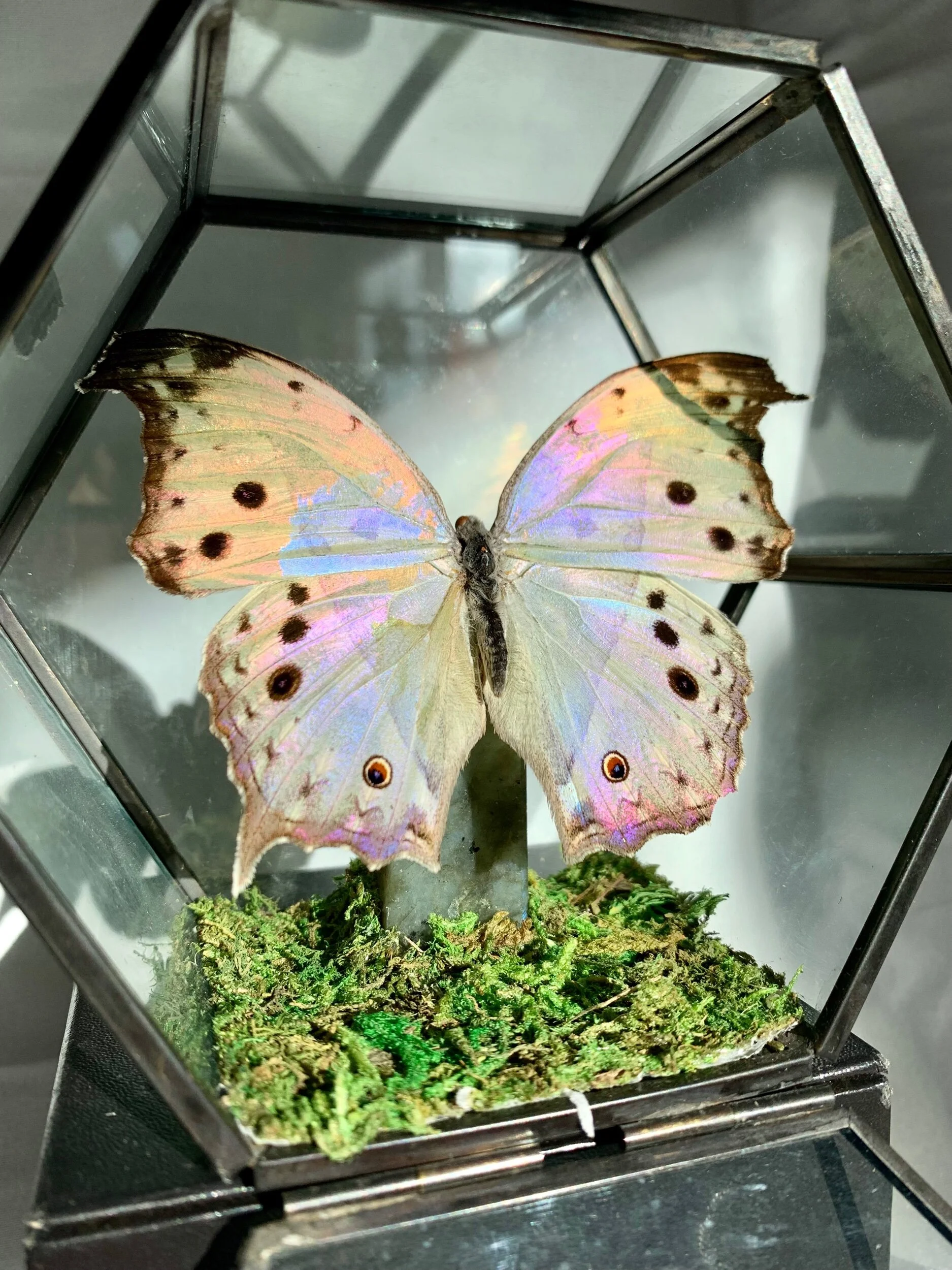 159AEA23-6B2B-40D0-80E0-DA12A1CA10BD