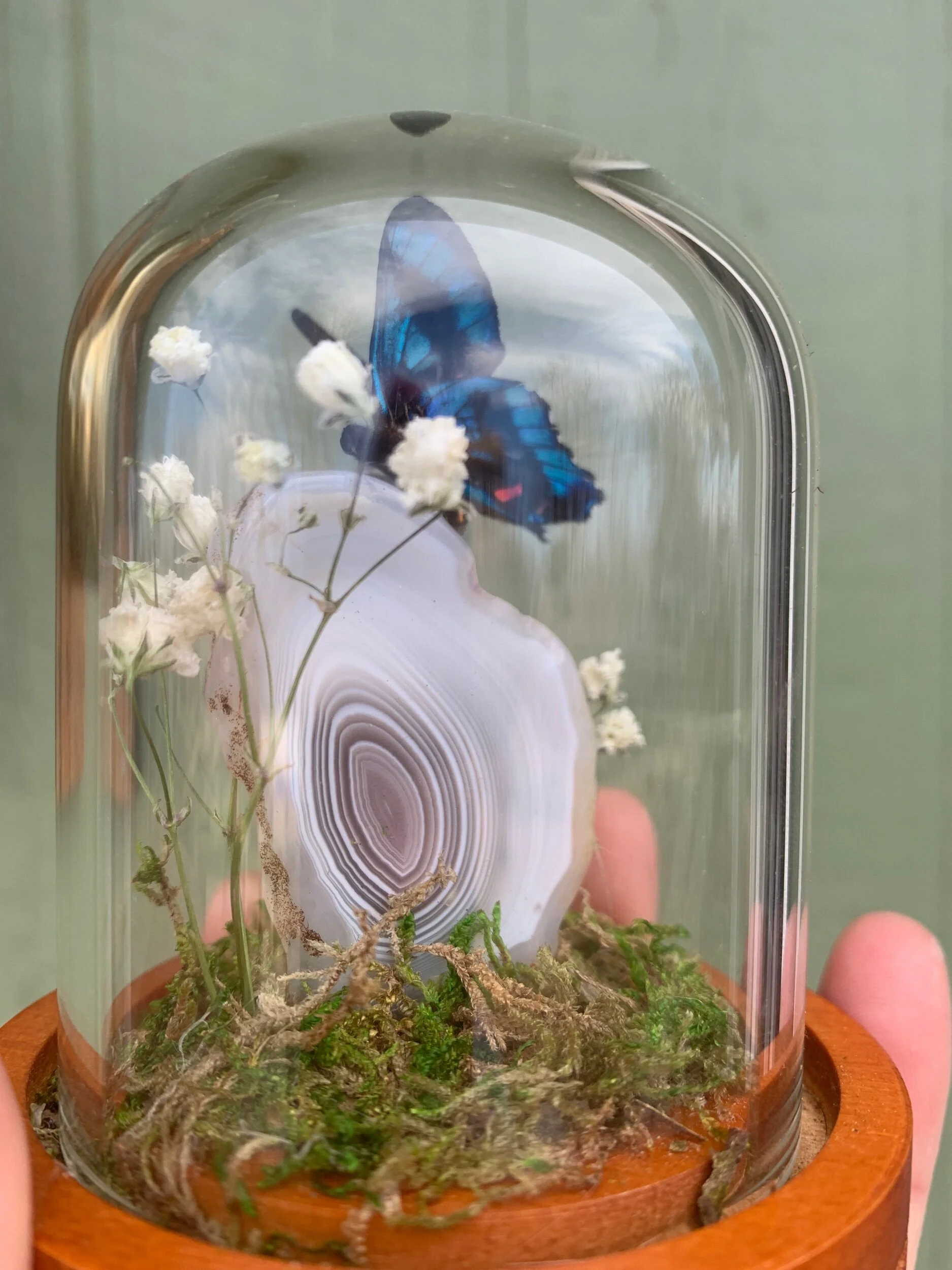 64836779-DBCC-4E05-BC6C-365189199D33