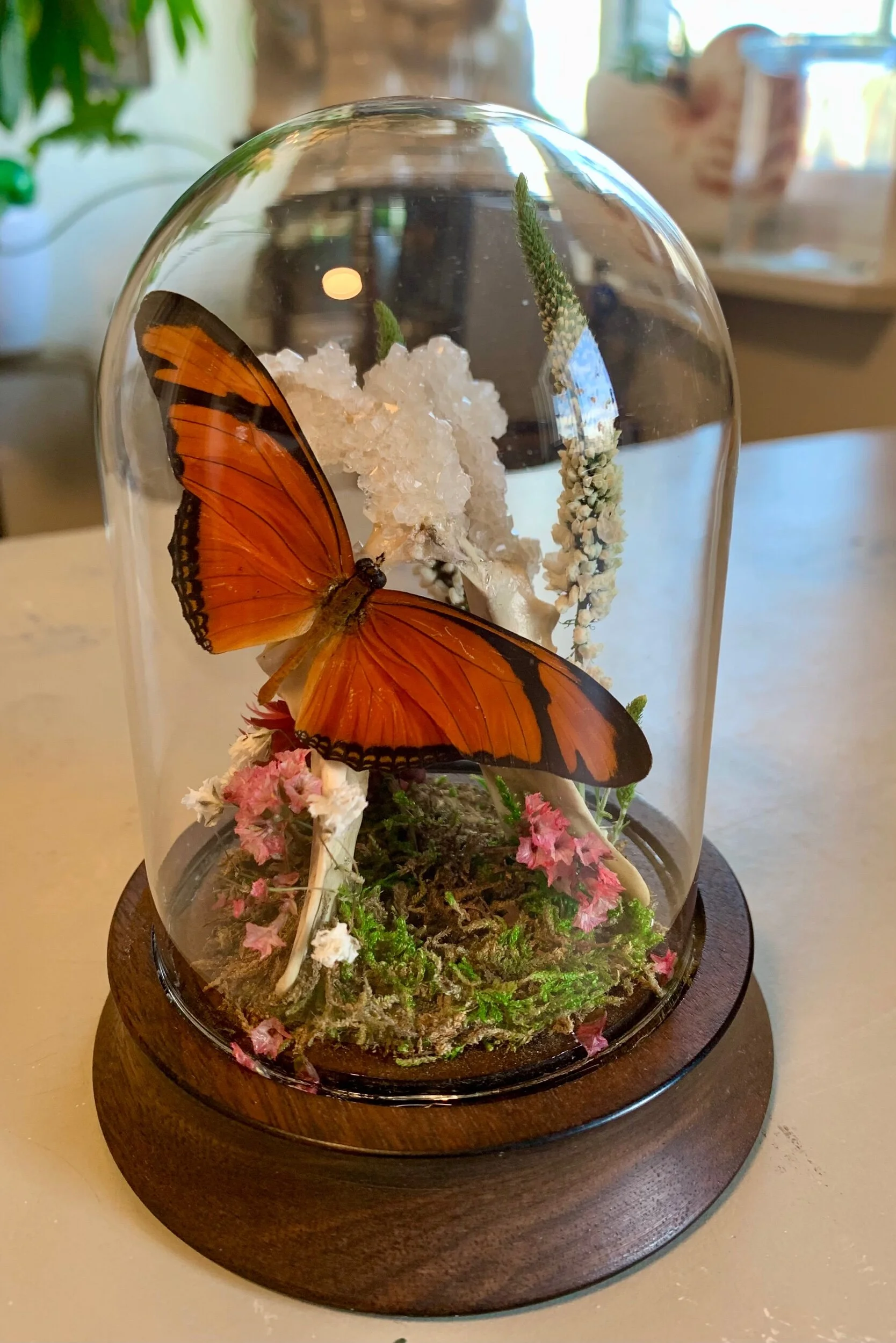 ACC67350-BFD5-4A33-B020-39F6F3F63E6B