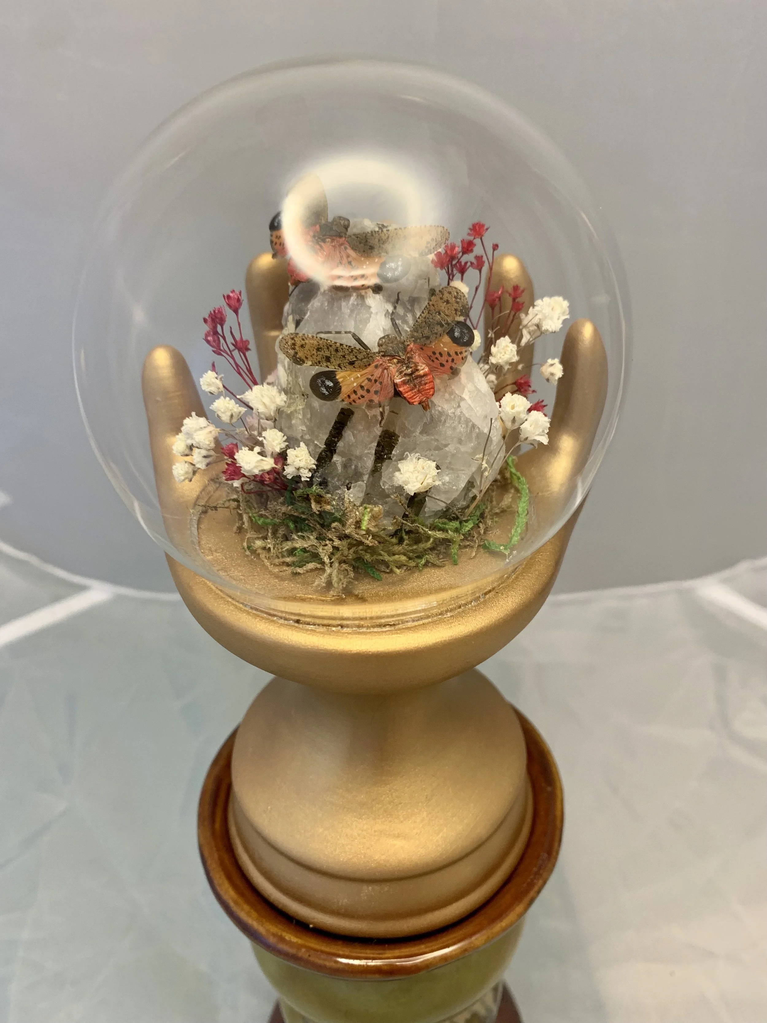 FullSizeRender (3) 2.jpeg