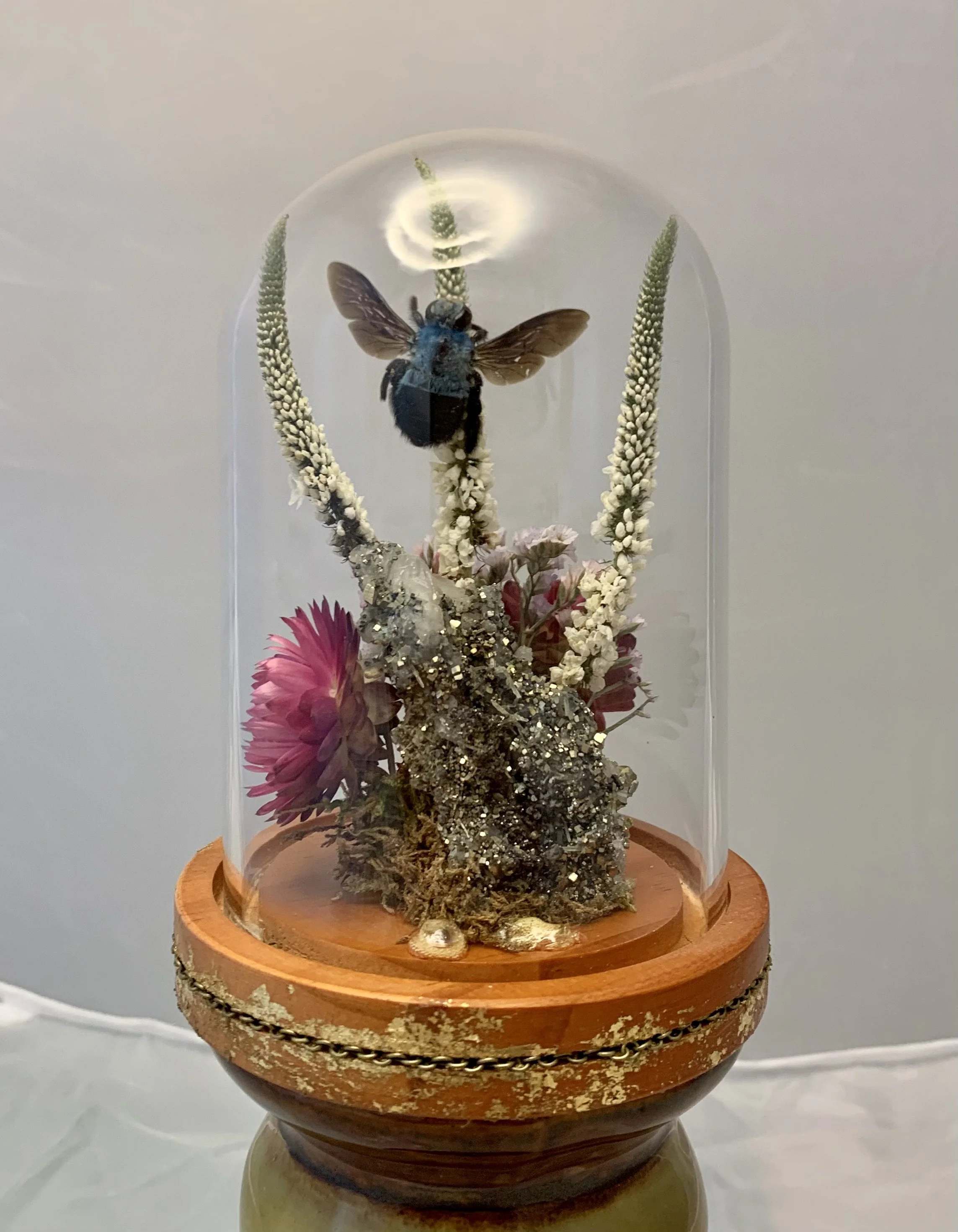 FullSizeRender (9).jpeg