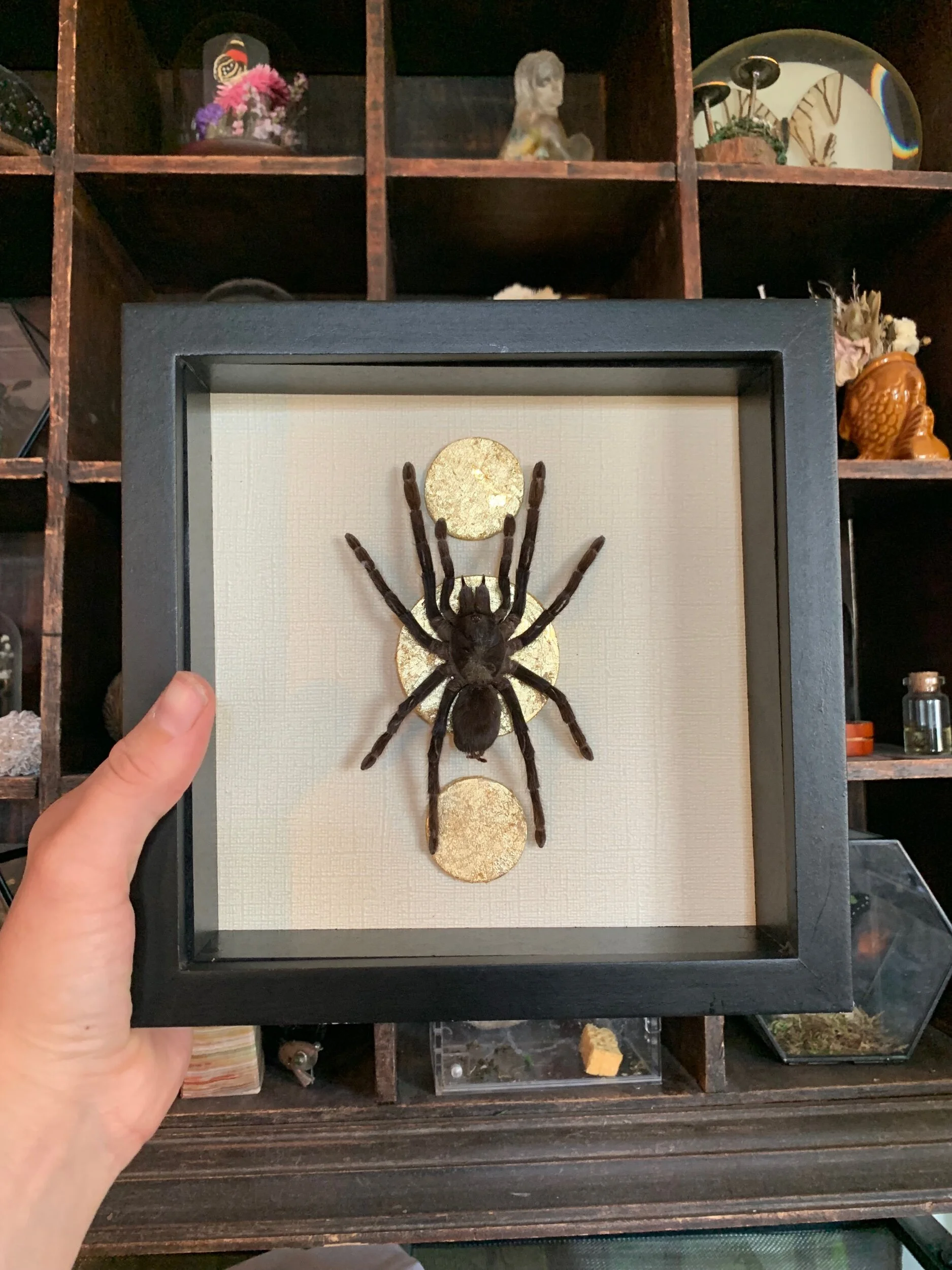 96997208-C1E2-4809-B7A3-B53B7206A578