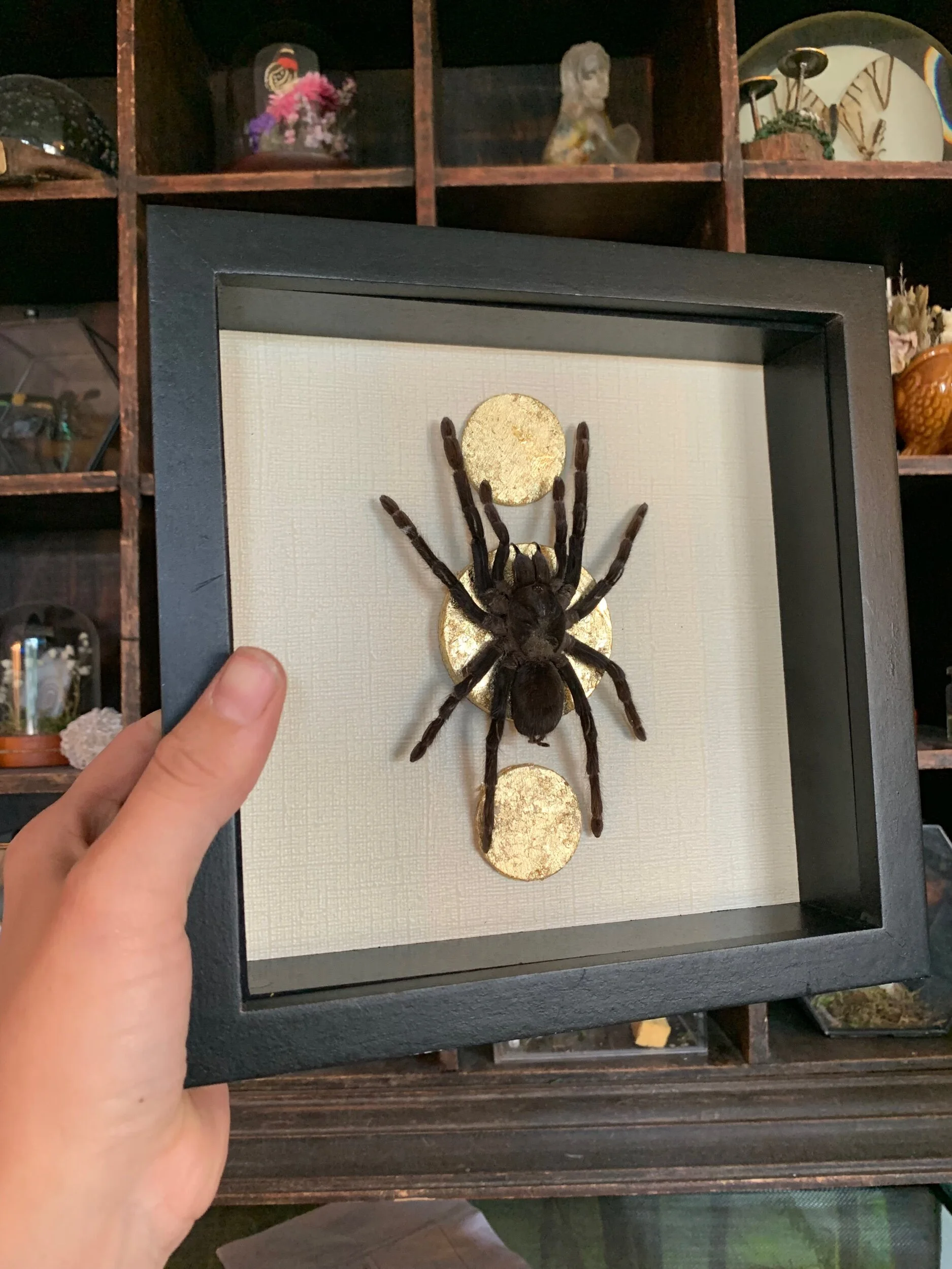 A9FBC779-9610-40ED-ABE5-71FB0D6FE1C1