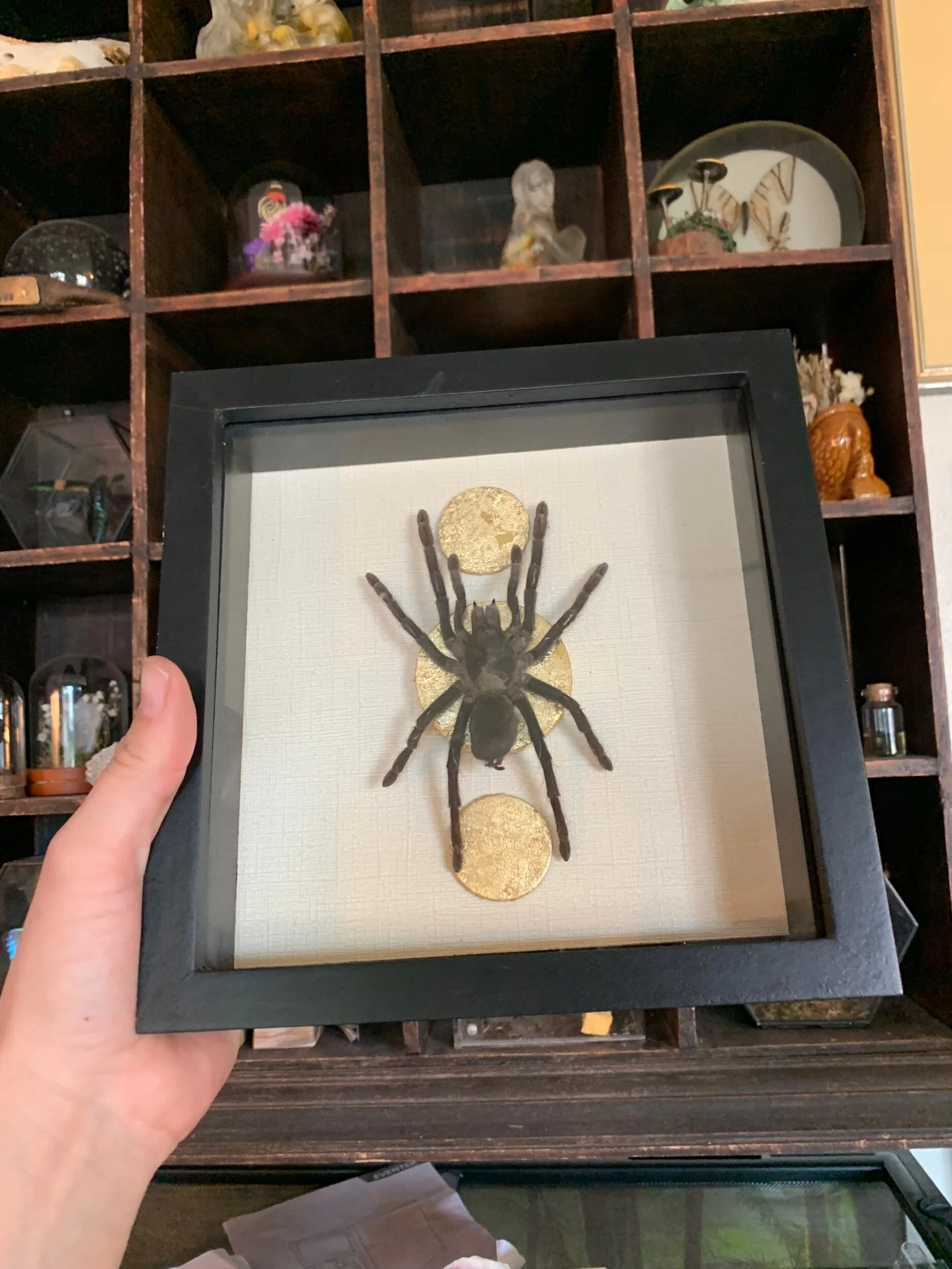 1B63F852-0092-4DDA-B377-F53205A75B7B