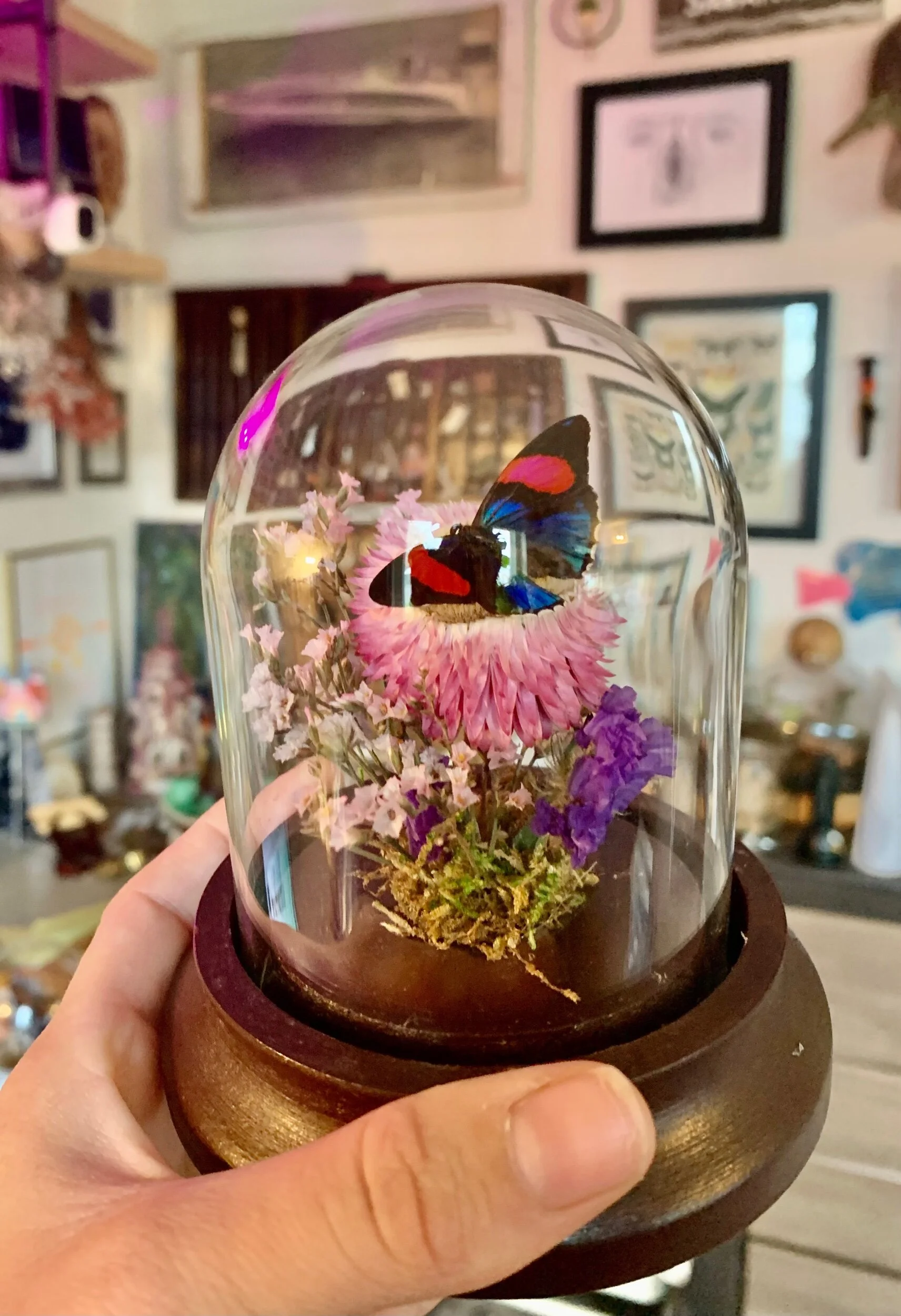 262813C5-C13D-421D-BF13-AD5BD78C70BD