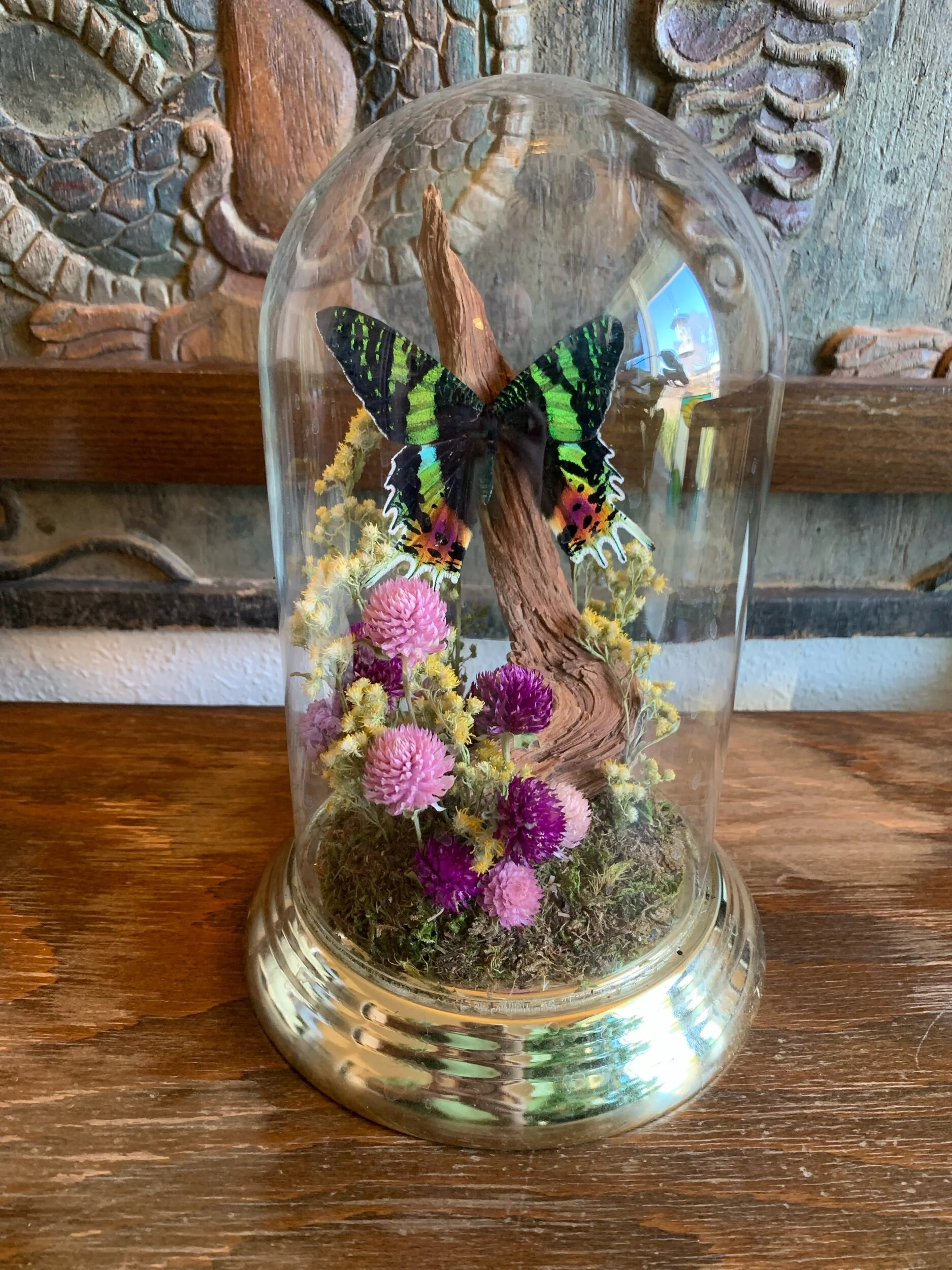 97E2D304-89D0-4A98-90B6-F36D47BFCE6C