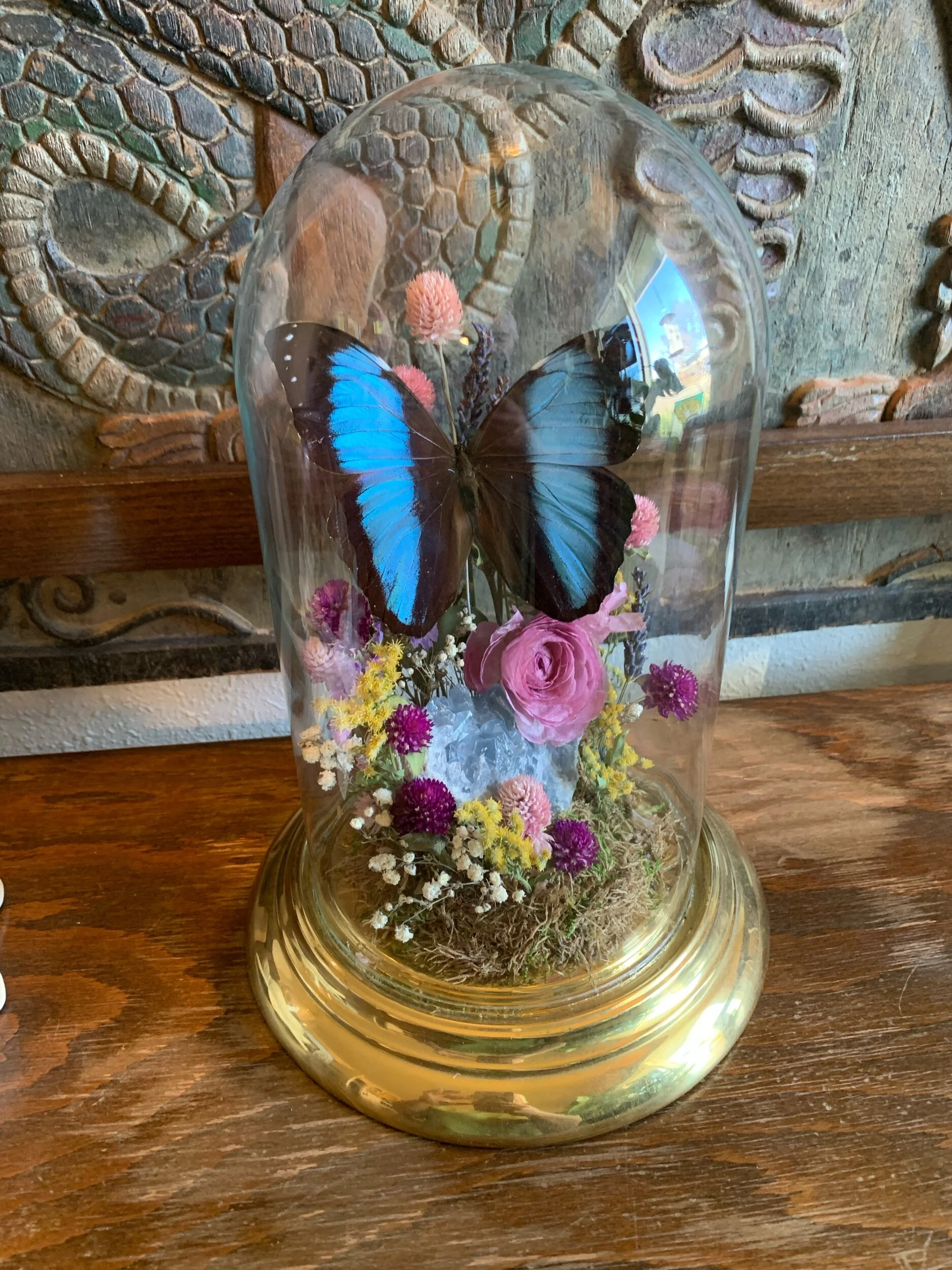 8F01740E-6CEC-40B2-A55F-9D55562304D8