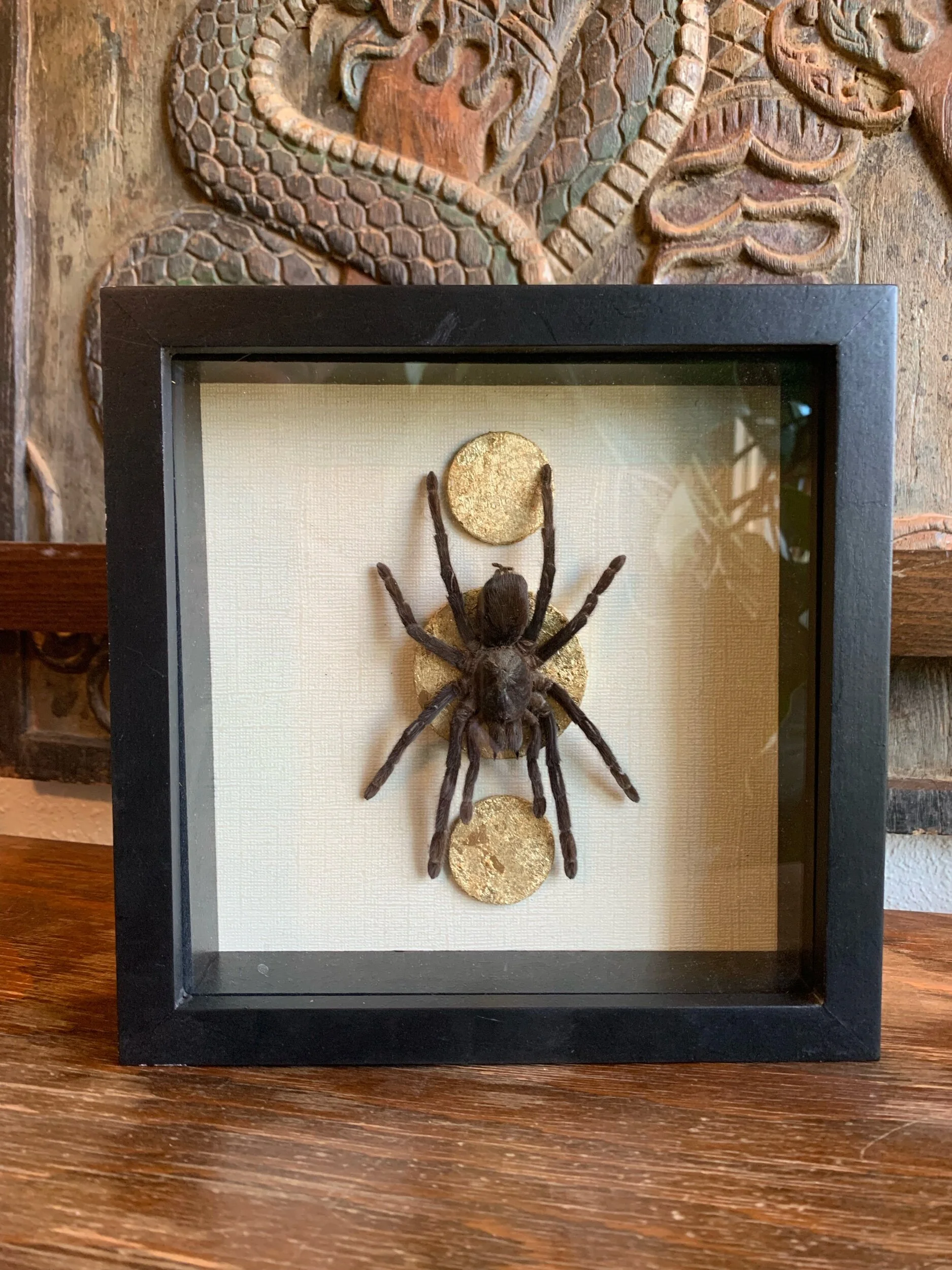 022C3B6D-20B1-46A2-8407-9CDE6D188C5D