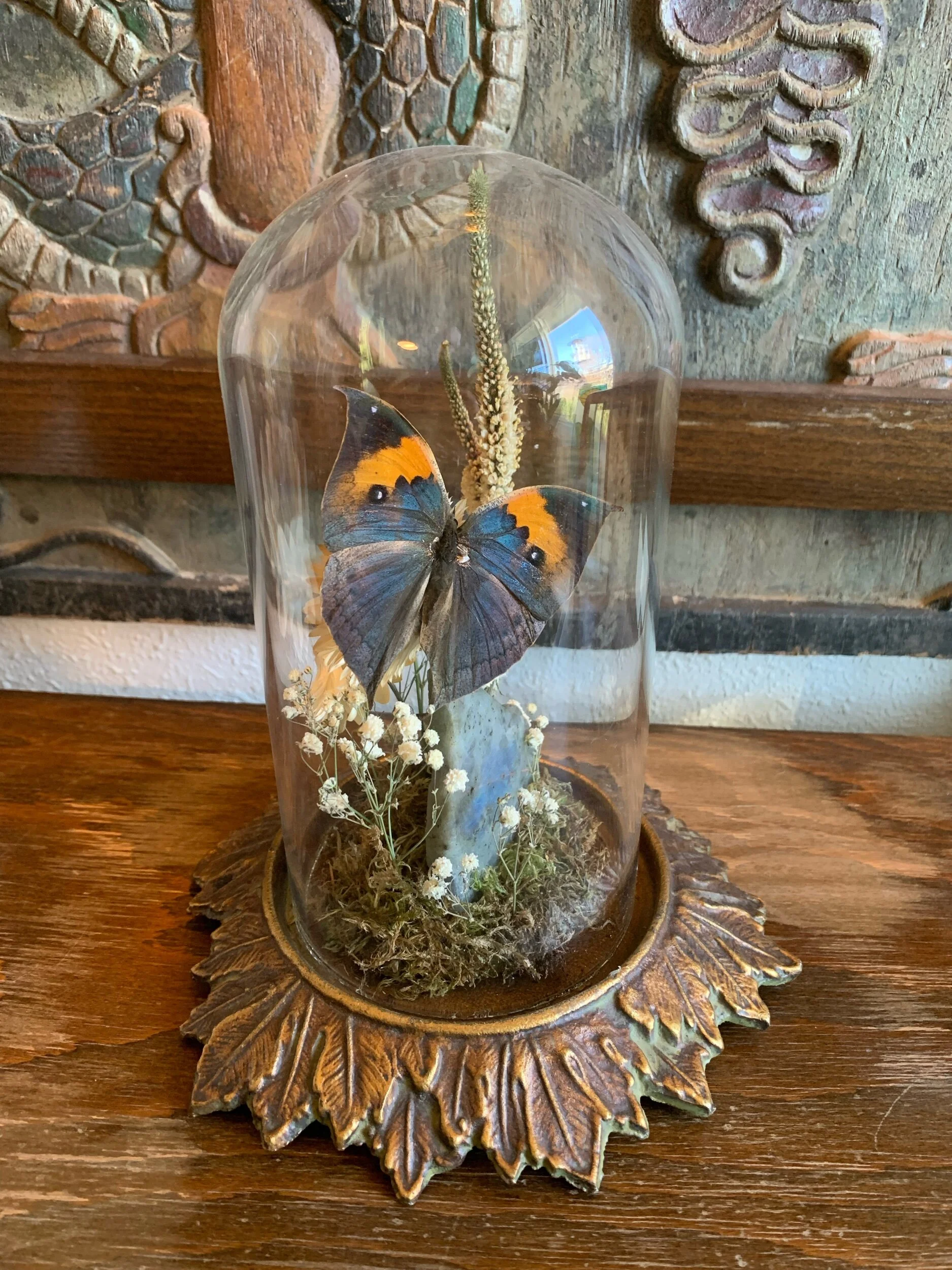 FA9B67A1-7CAD-4D71-8269-FA4472E76A21