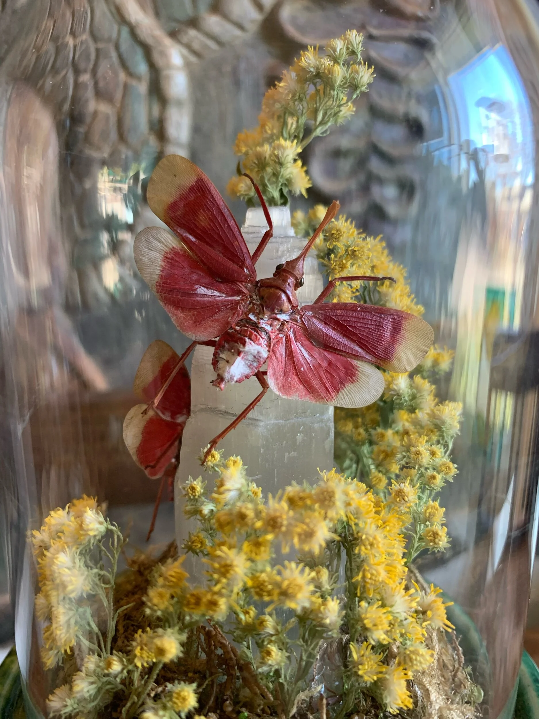 700EB5FE-8F26-4108-A545-FE466AD1CB9E