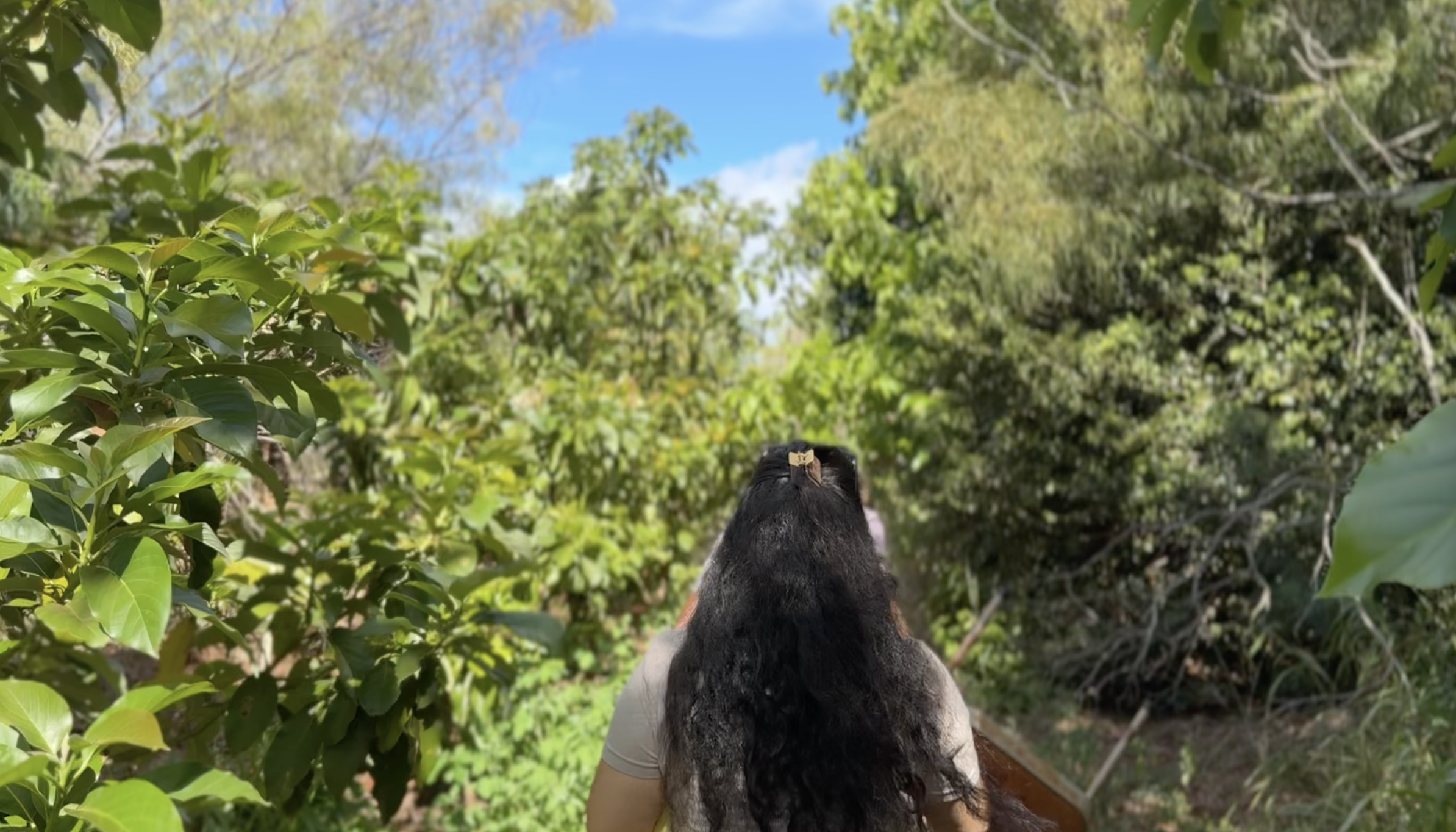 Screenshot 2025-10-21 at 3.52.53 PM.png