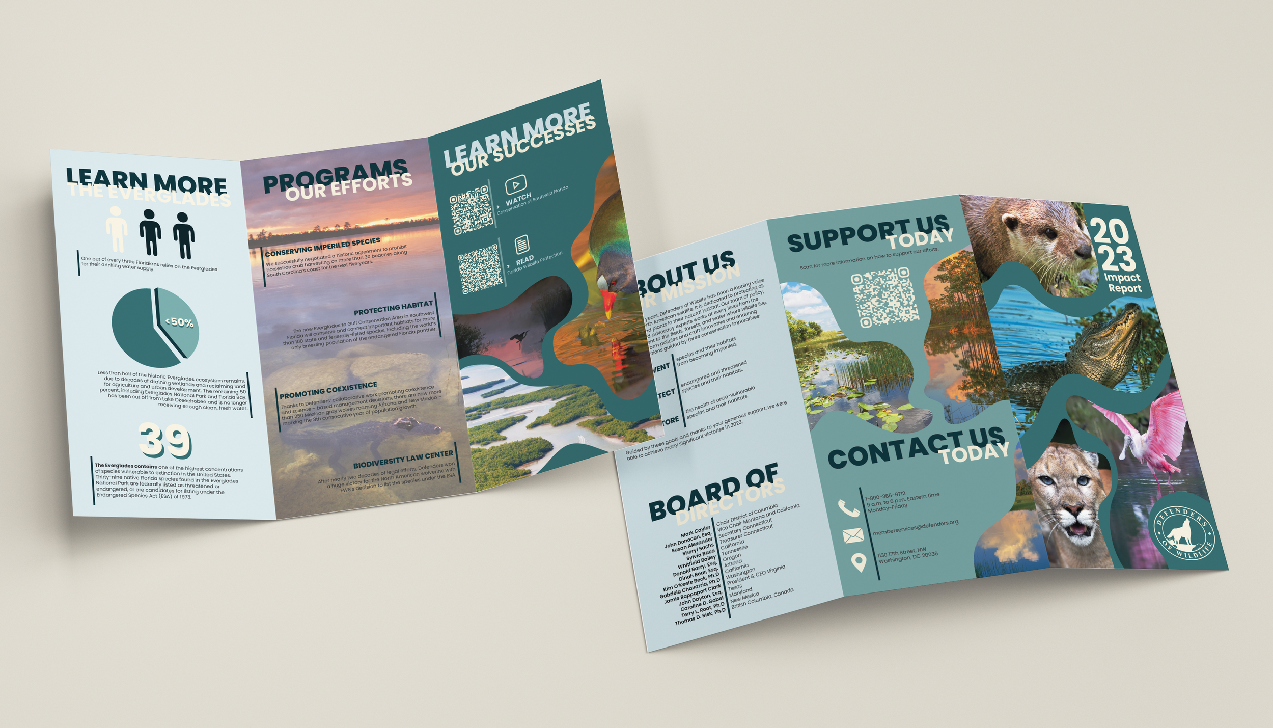 Impact Report Mockup.png