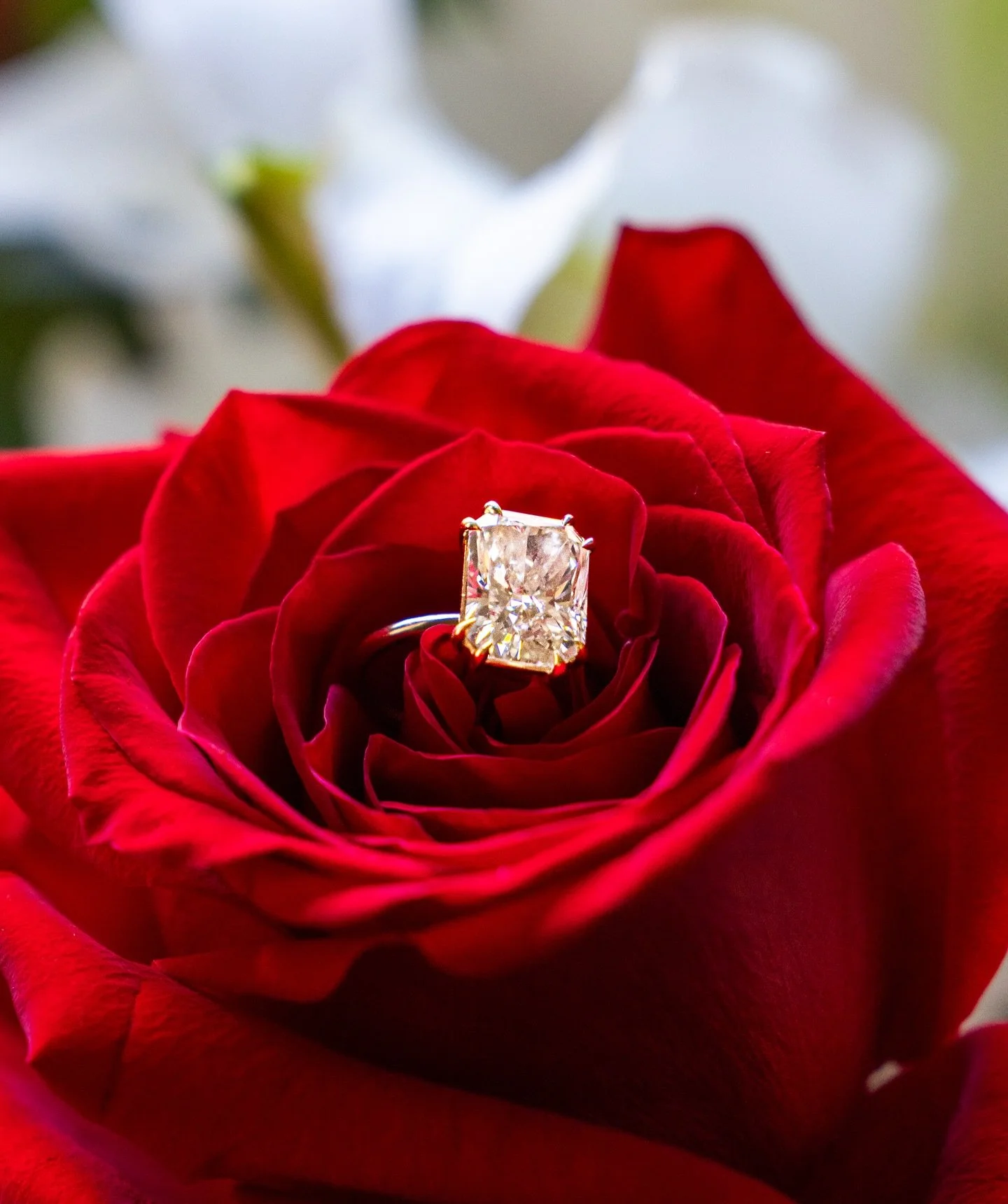 A ring, a rose, and the start of forever. 💍🌹
Engagement season is officially in full bloom!

wedding planner: @neuevents 
photographer: @connortrimble Trimble

#weddingplanner #engagementring #wedding #hawaii #engagement 

neu events, Wedding Plann