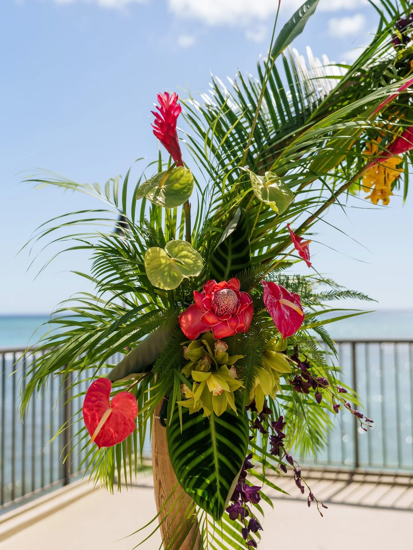 Tropical vibes, timeless moments 🌺✨

Lush florals, vibrant greenery, and every detail designed to make their outdoor ceremony unforgettable.

Dreaming of a ceremony with tropical magic? Let&rsquo;s make it happen 🤍

wedding planner: @neuevents
phot