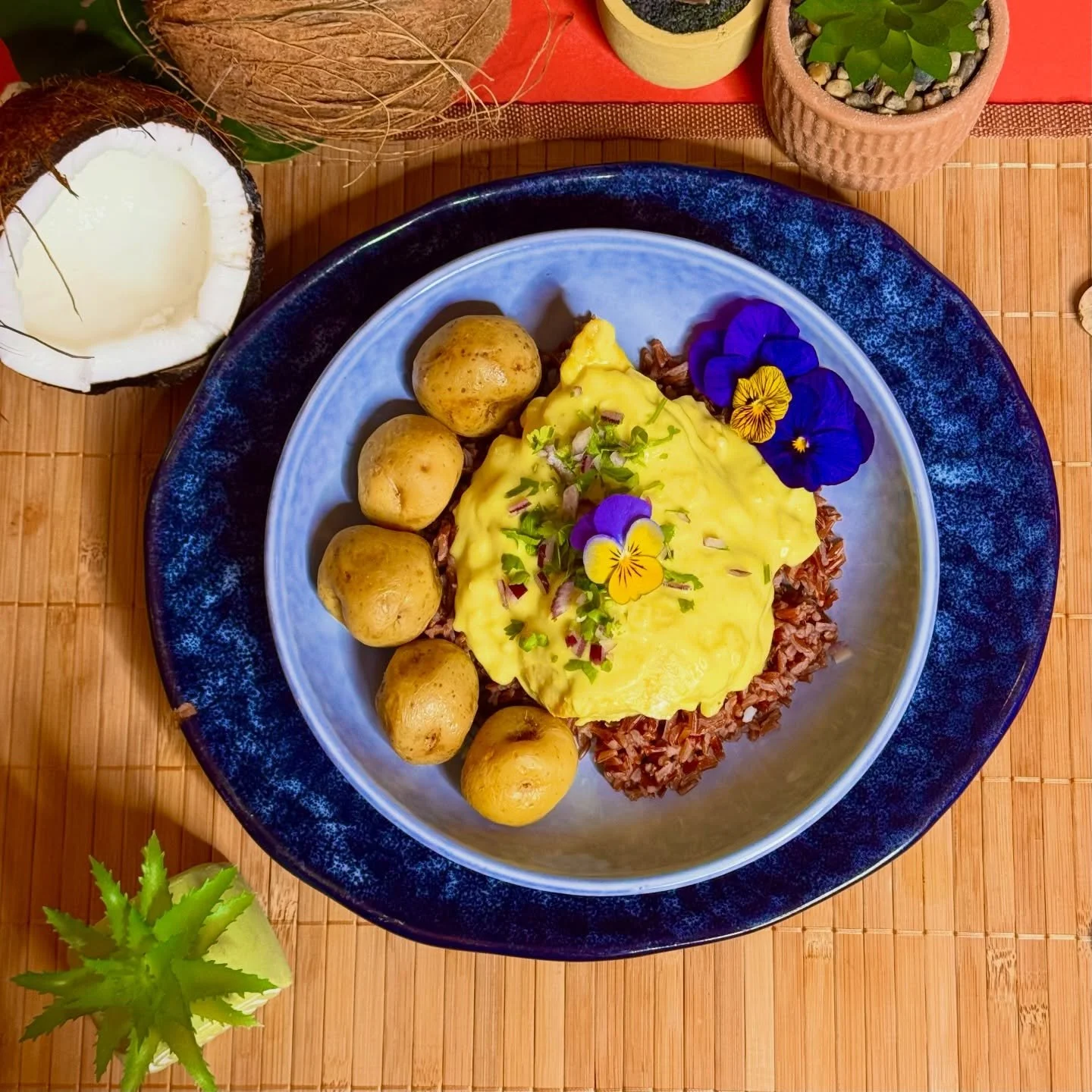 ✨Aujourd&rsquo;hui on vous pr&eacute;sente notre Pollo al Coco 🥥 

Recette cr&eacute;&eacute;e par nos soins, qui c&eacute;l&egrave;bre la richesse de la gastronomie carib&eacute;enne. 🌴

Le poulet est mijot&eacute; lentement dans une sauce coco on