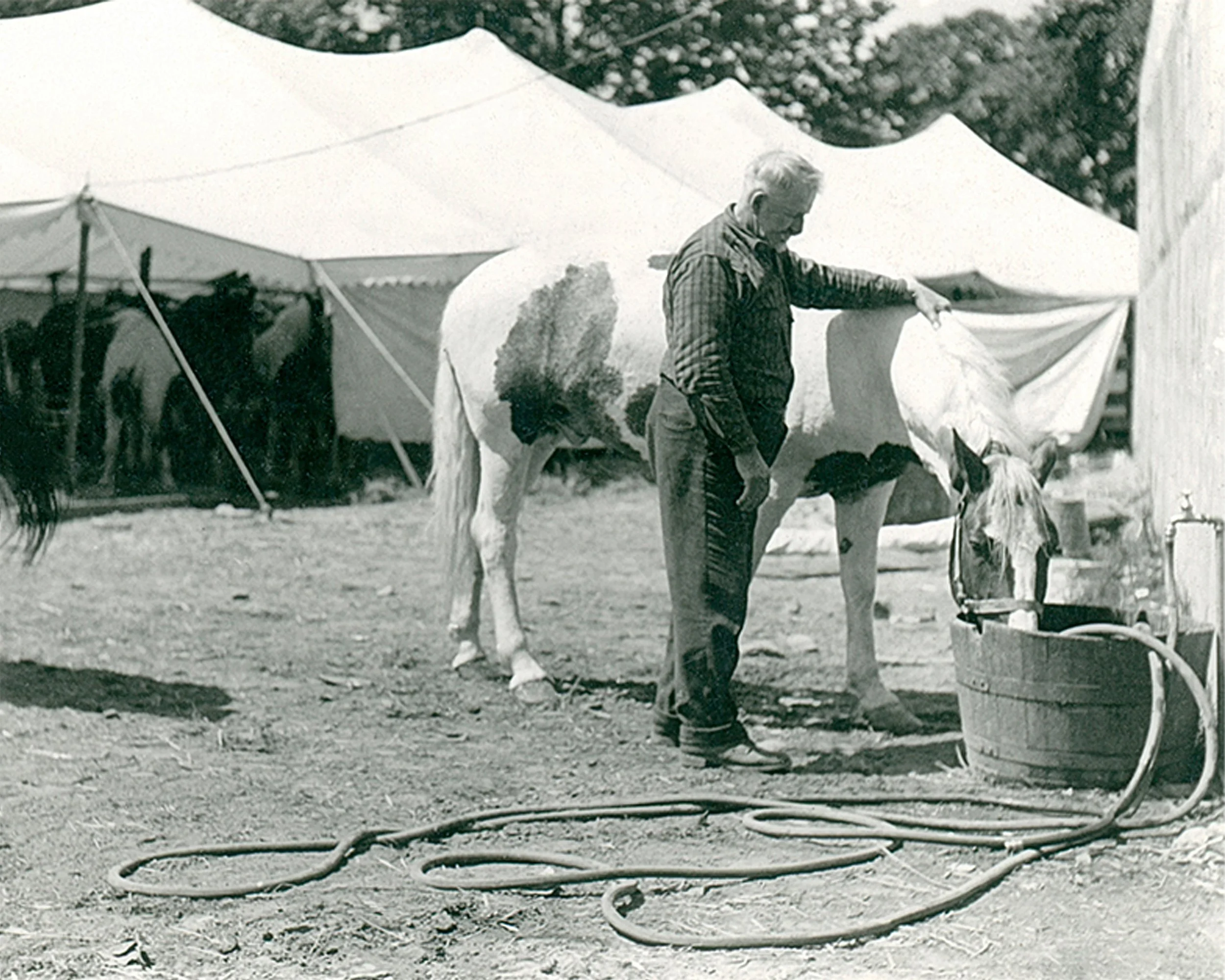#686 A. R. Mitchell Photo Collection