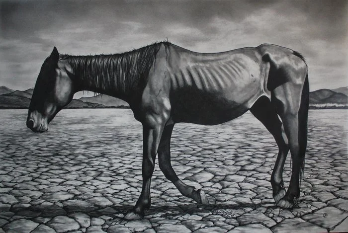 Jalin Nelson "Activist Dream: America's Mustang"