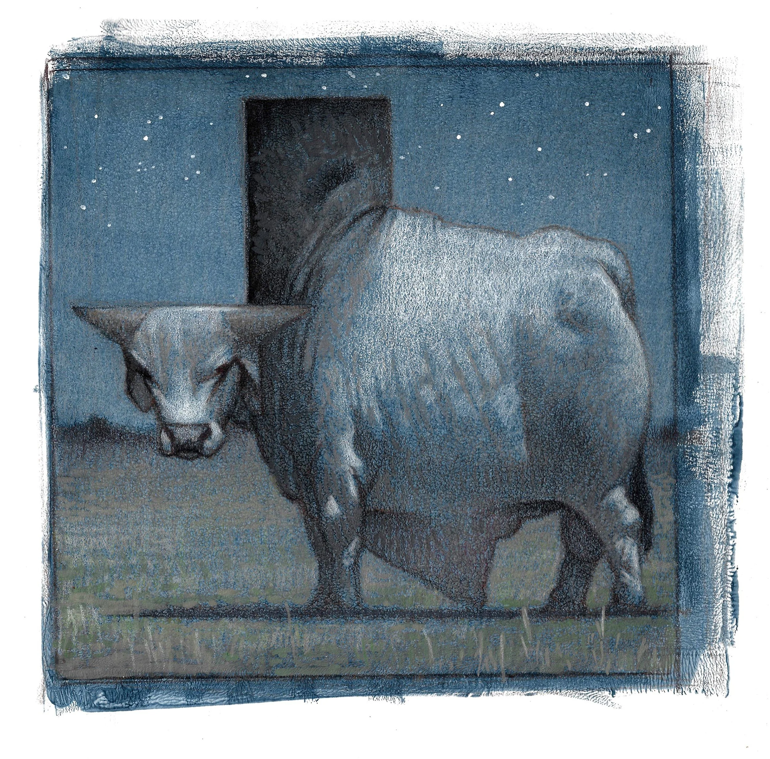 C.F. Payne - Texas Brahman Bull Sketch