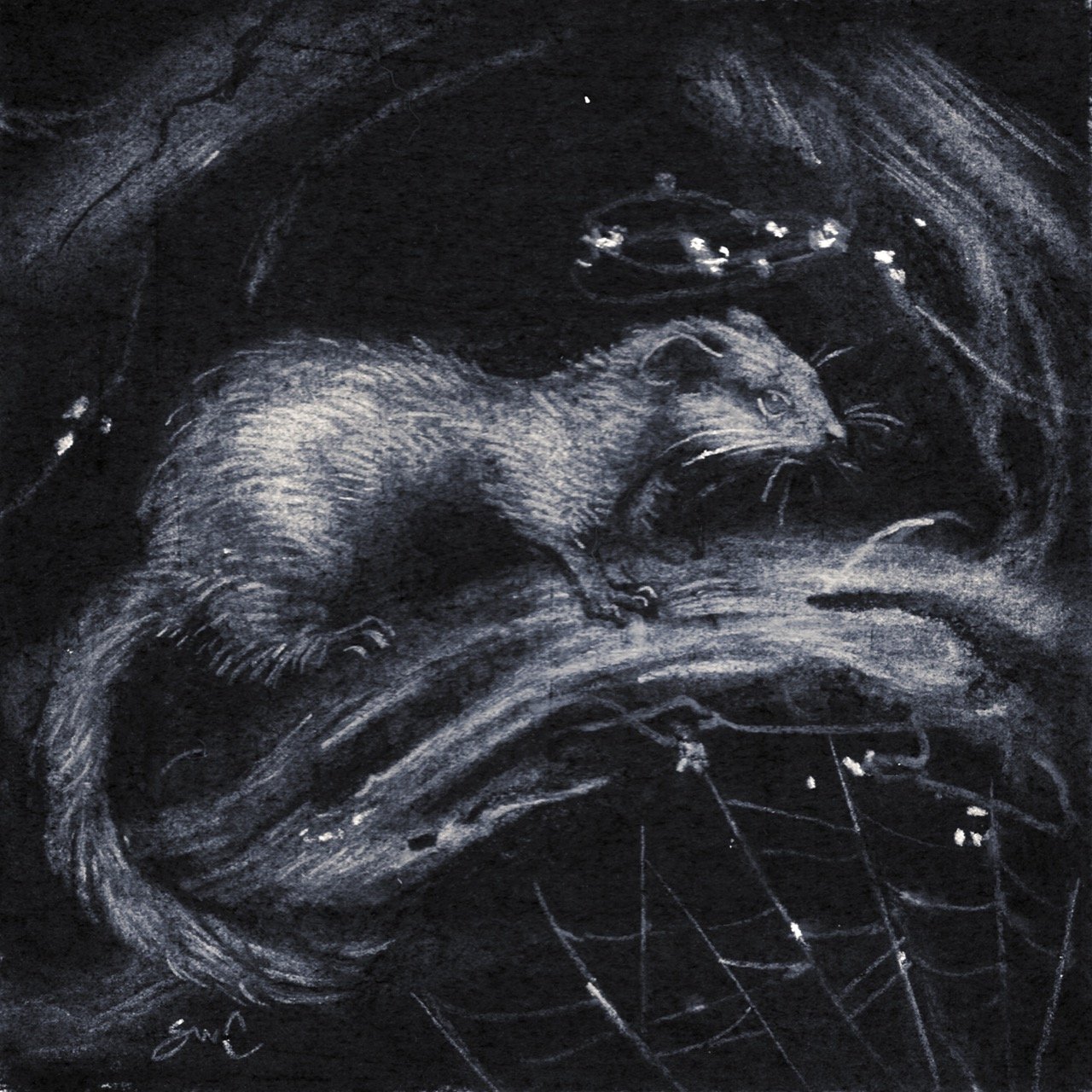 SamWolfe_Midnight Nimbus - Sketch - SamWolfeConnelly Large.jpeg