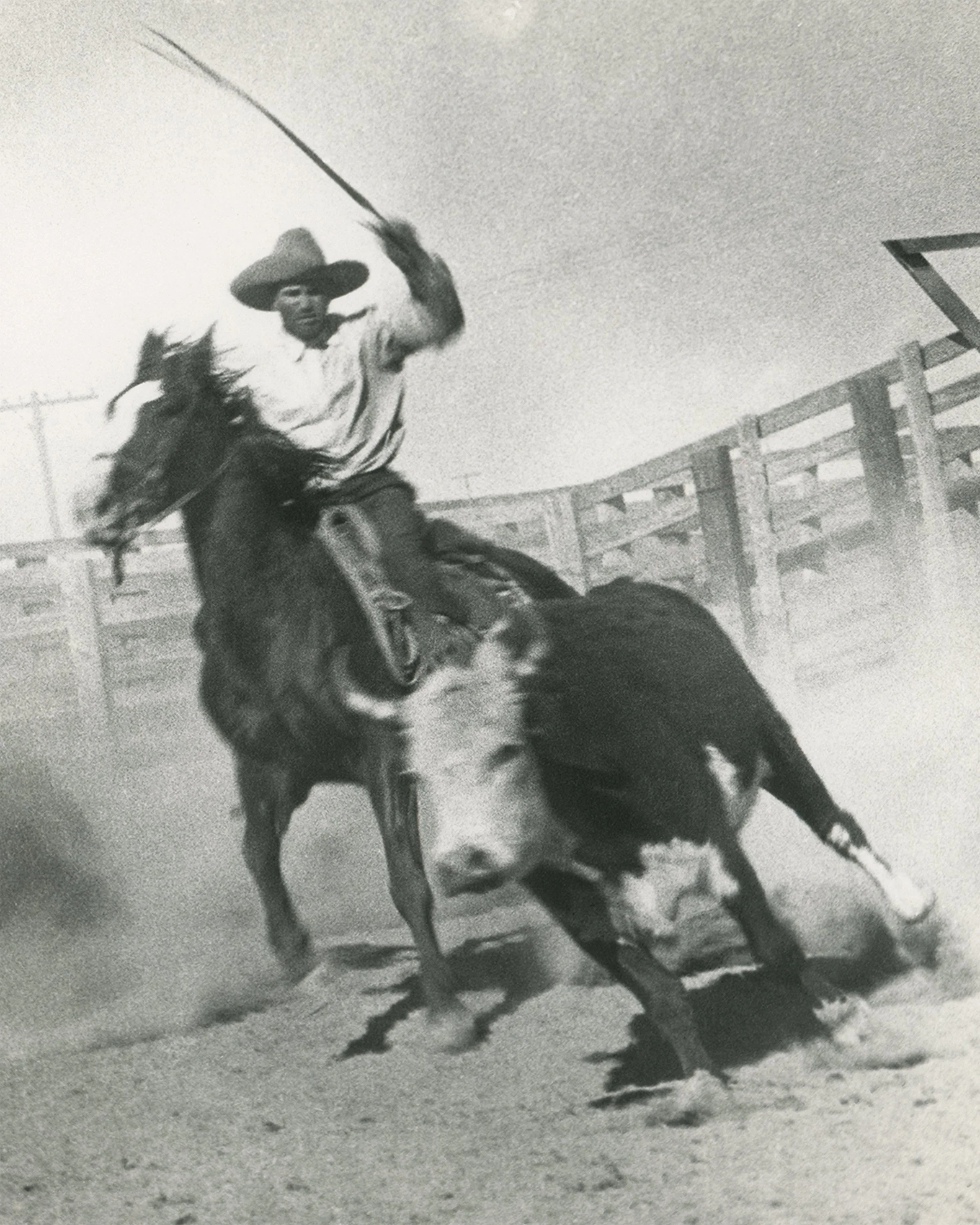 #1575 A. R. Mitchell Photo Collection