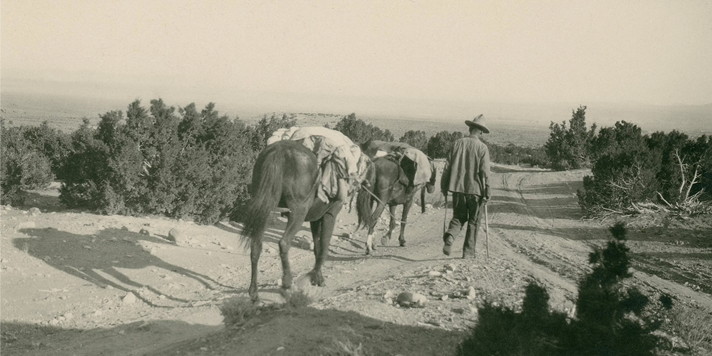 #293 A. R. Mitchell Photo Collection