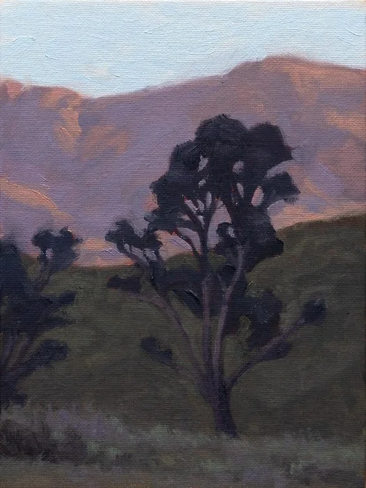 Jamie Day "Evening Glow"
