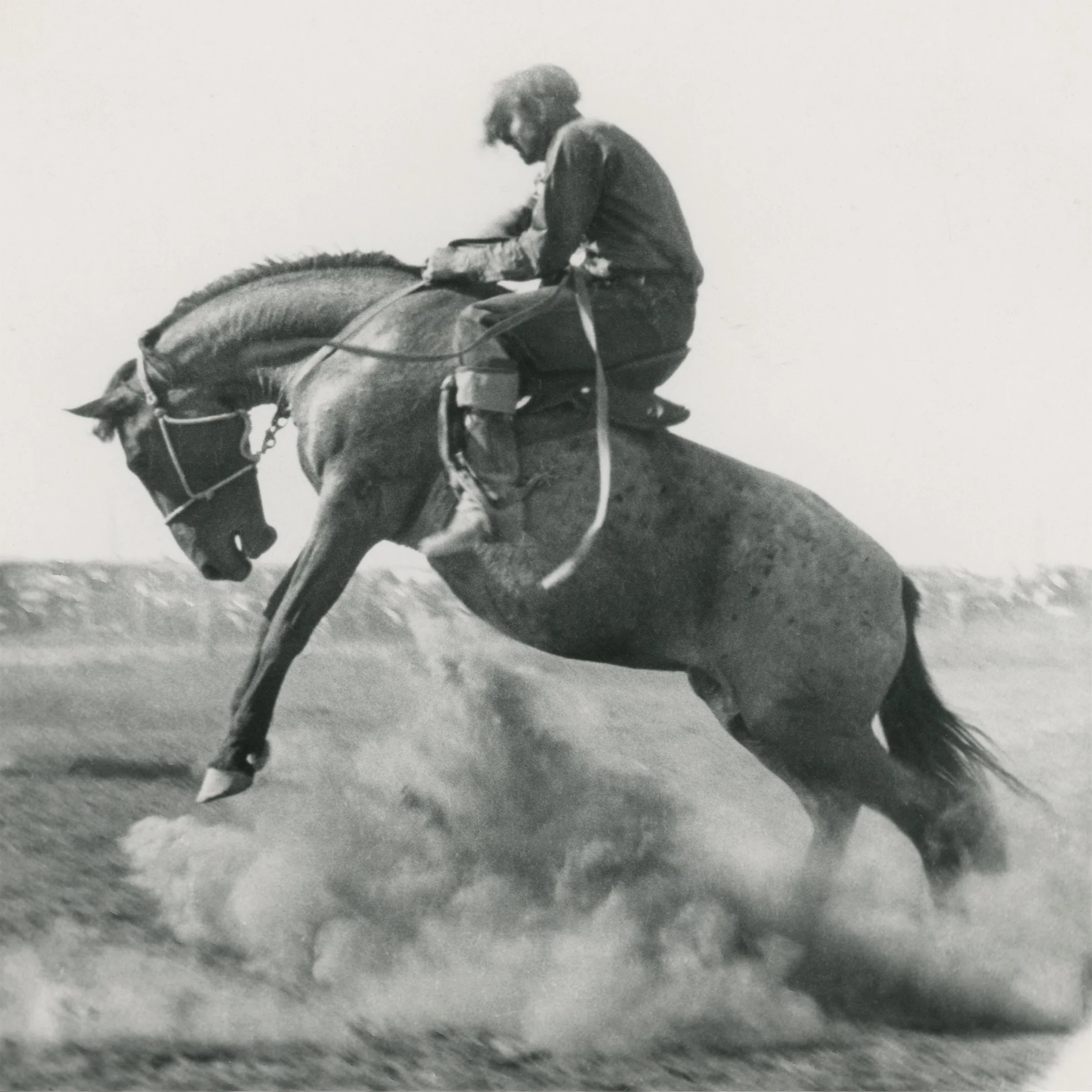 #1556 A. R. Mitchell Photo Collection