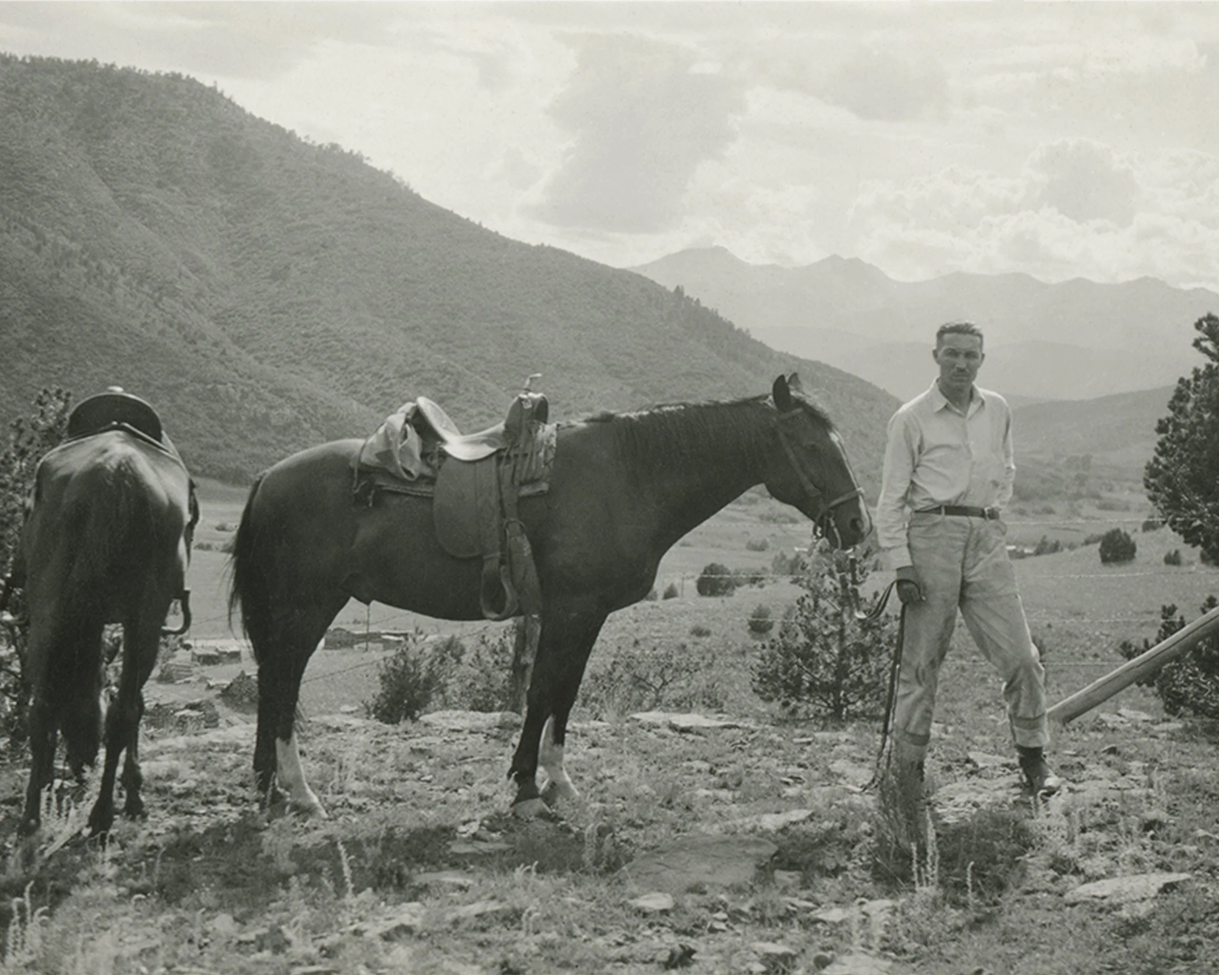 #1564 A. R. Mitchell Photo Collection