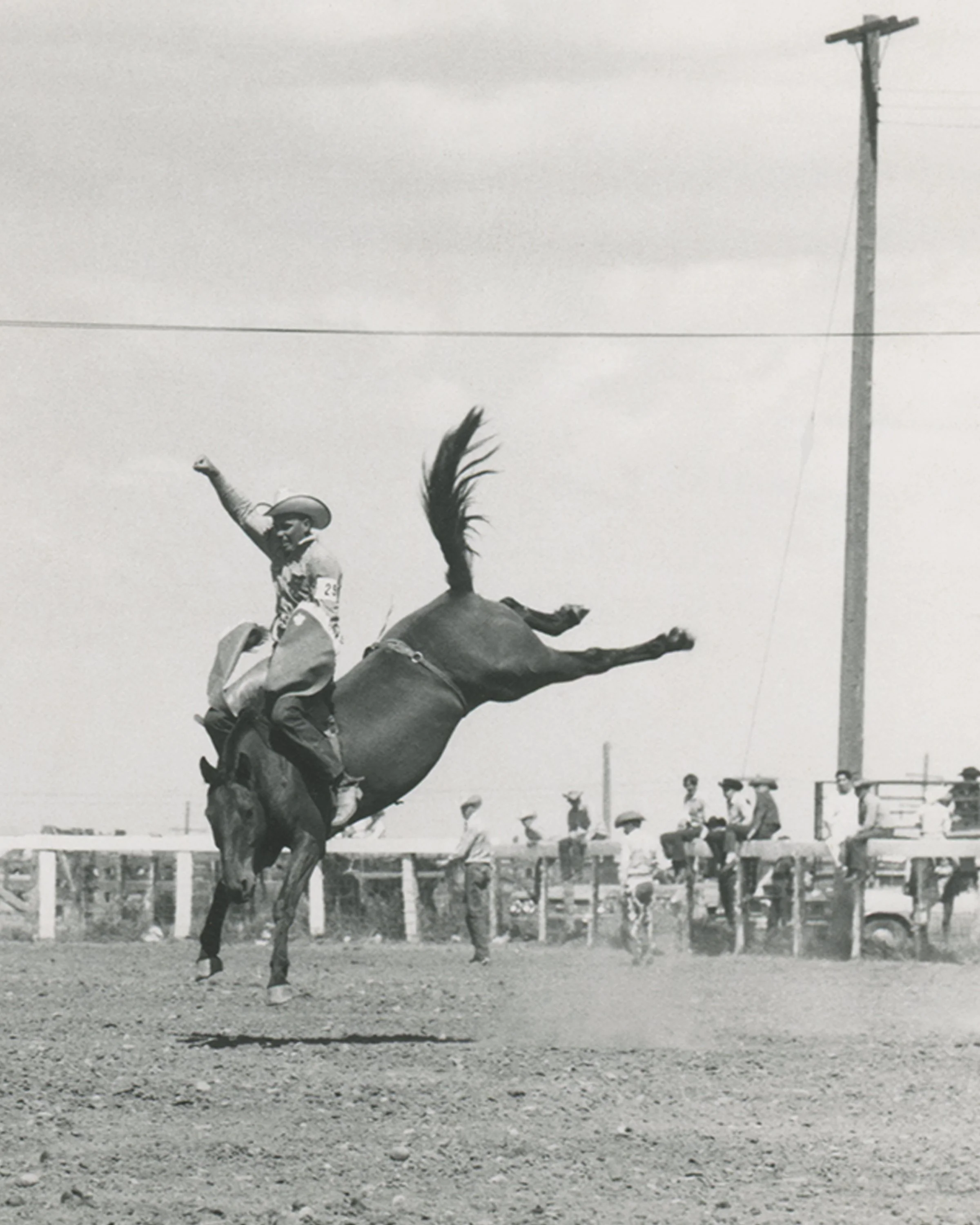 #1562 A. R. Mitchell Photo Collection