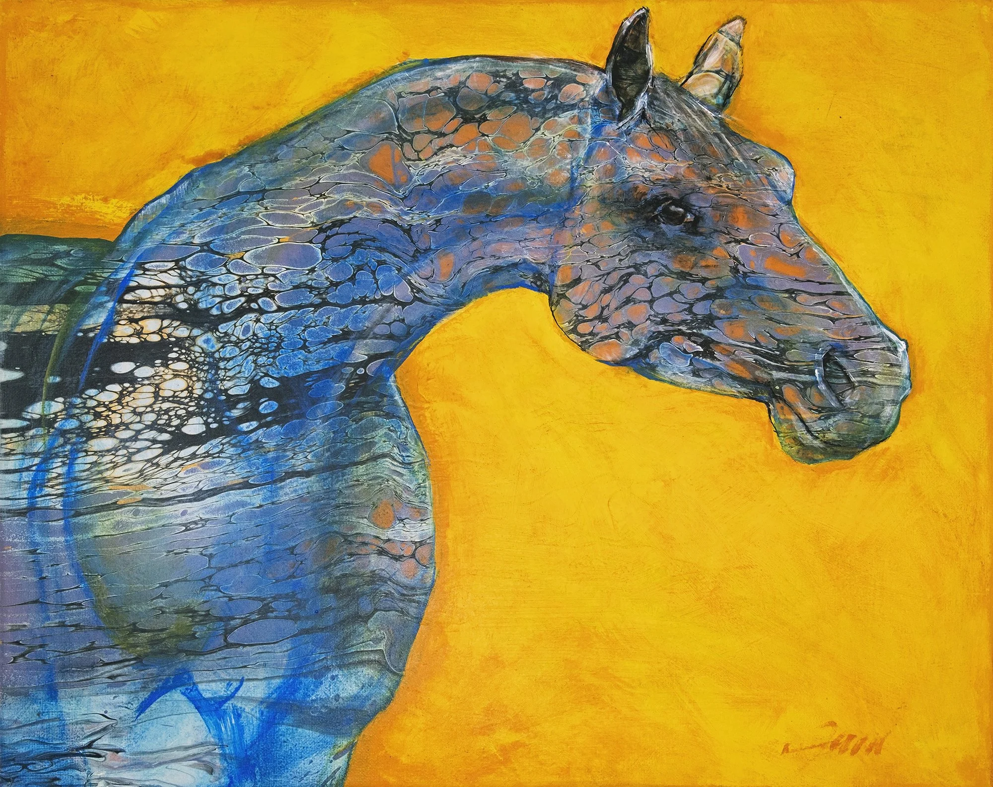 Jani Freimann "Still Waters"