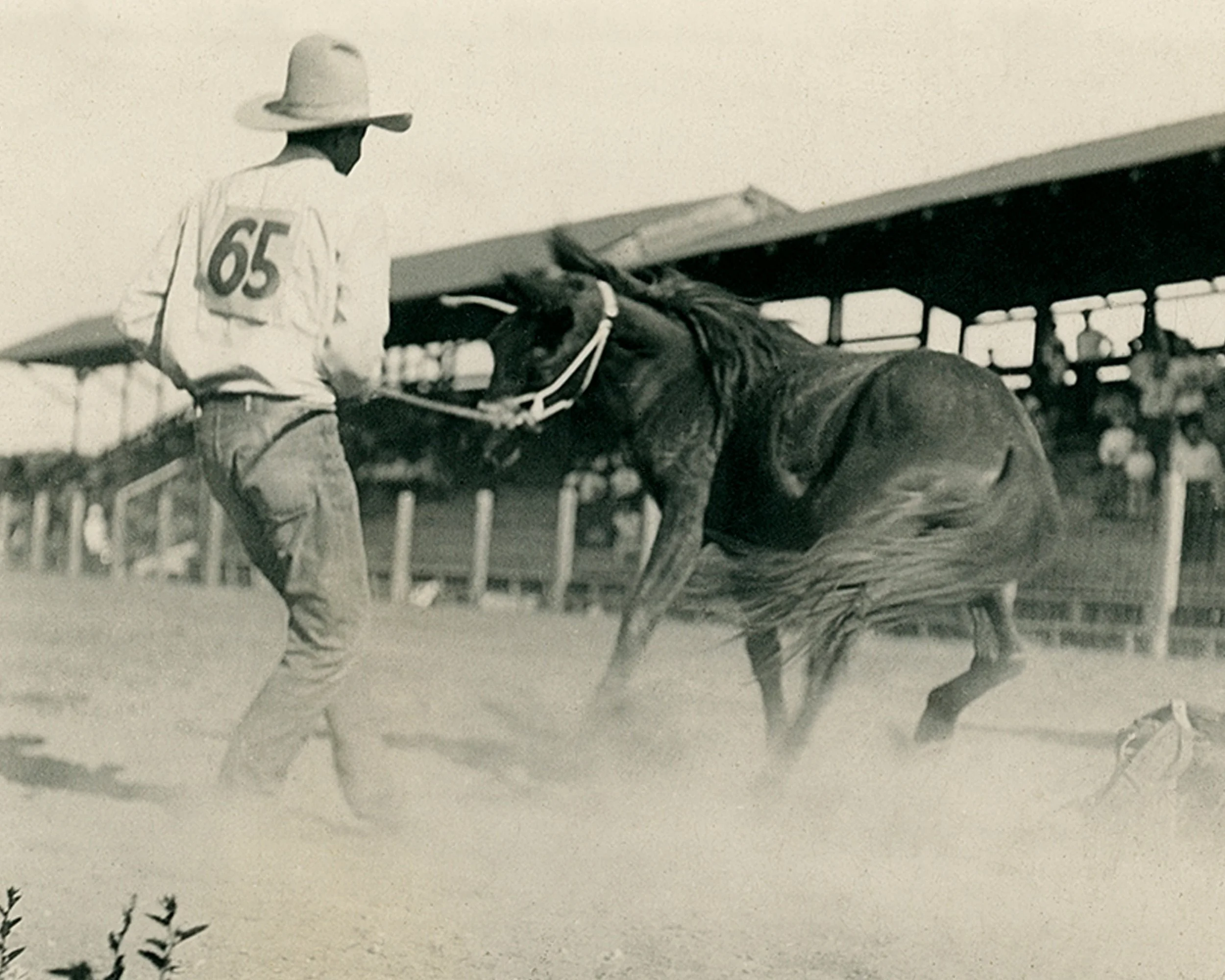 #584 A. R. Mitchell Photo Collection