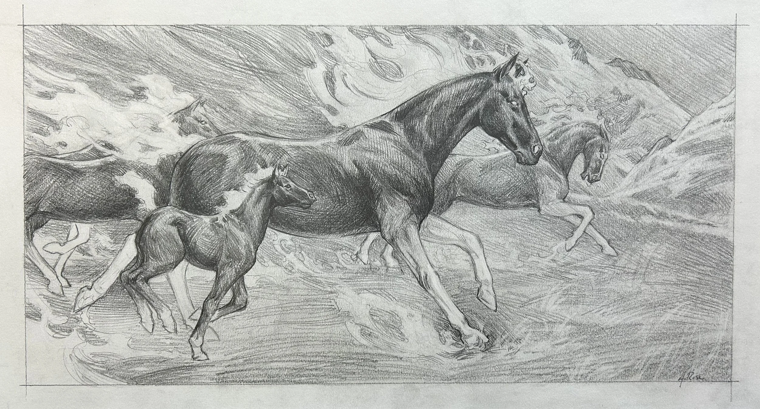 Alannah Rose - Wildfire Preliminary Drawing