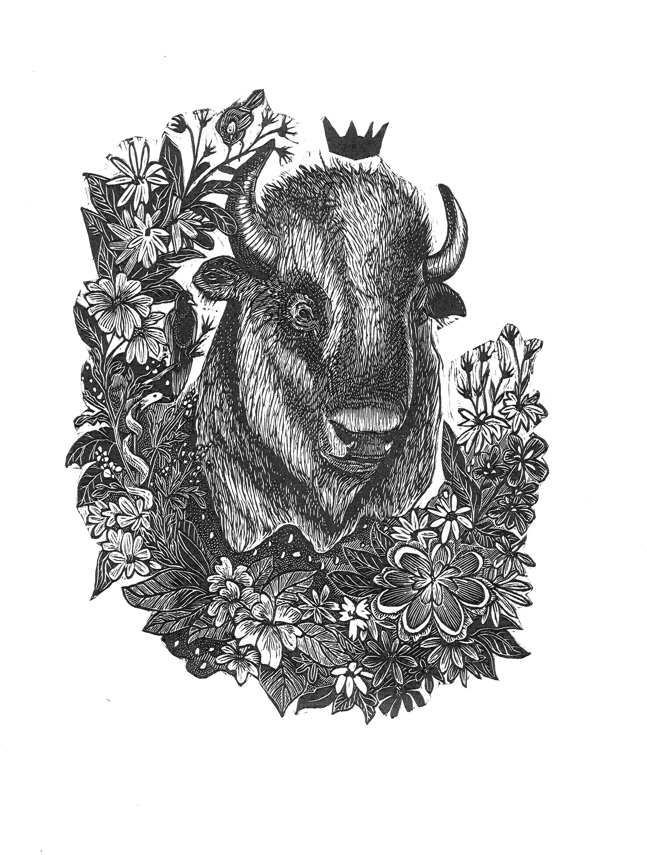 Johanna Mueller "Trophy III: Bison"