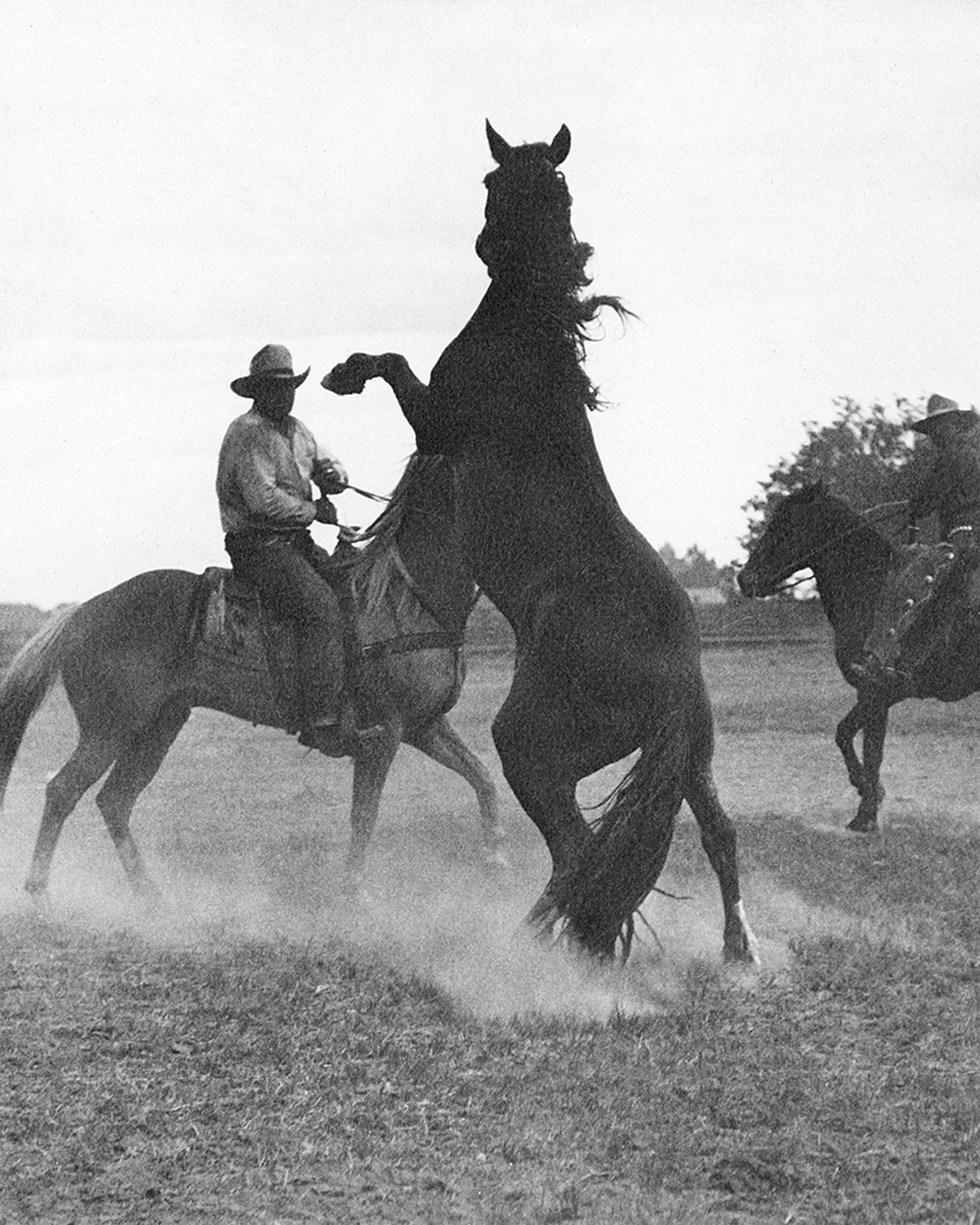 #1149 A. R. Mitchell Photo Collection