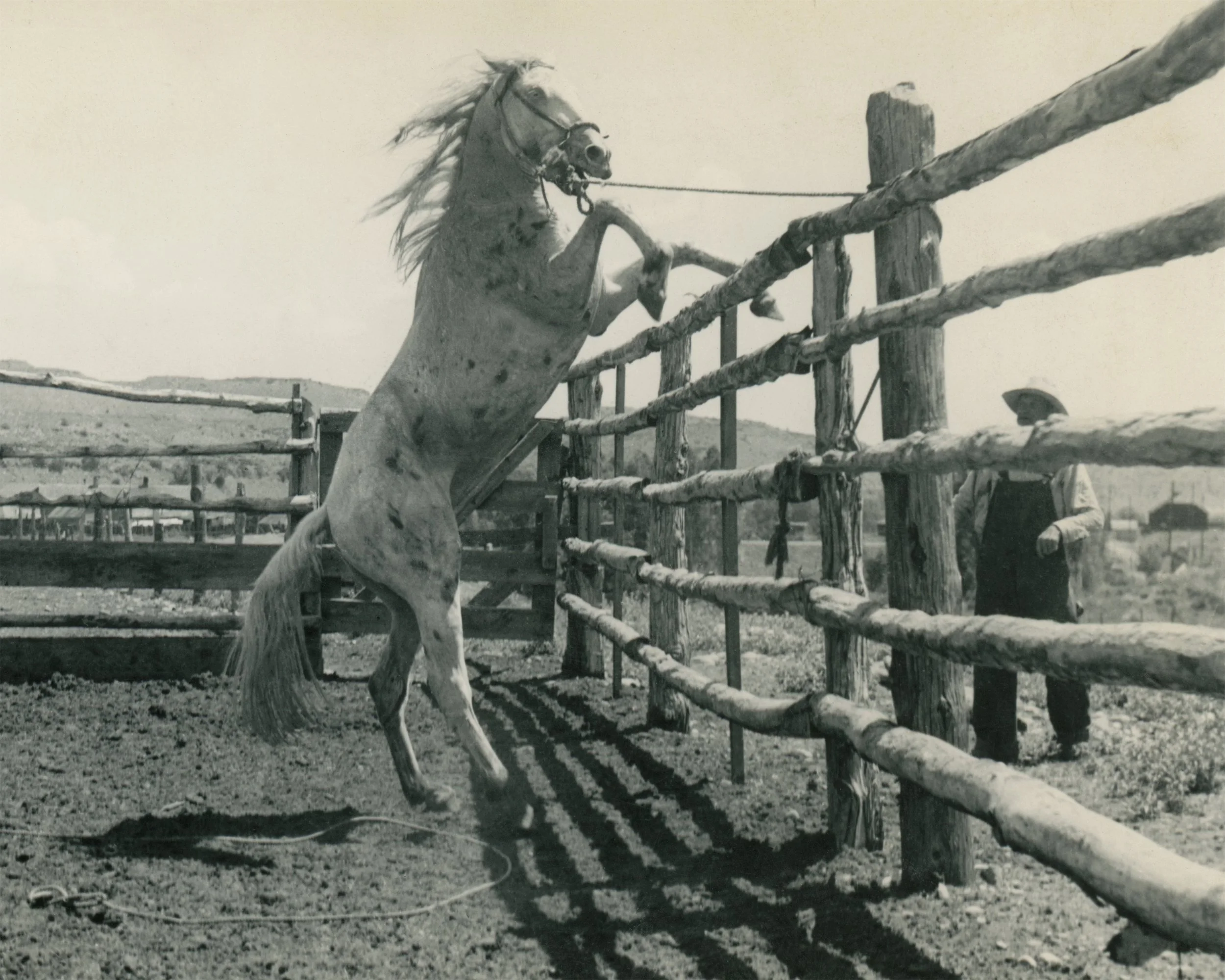 #1565 A. R. Mitchell Museum Photo Collection