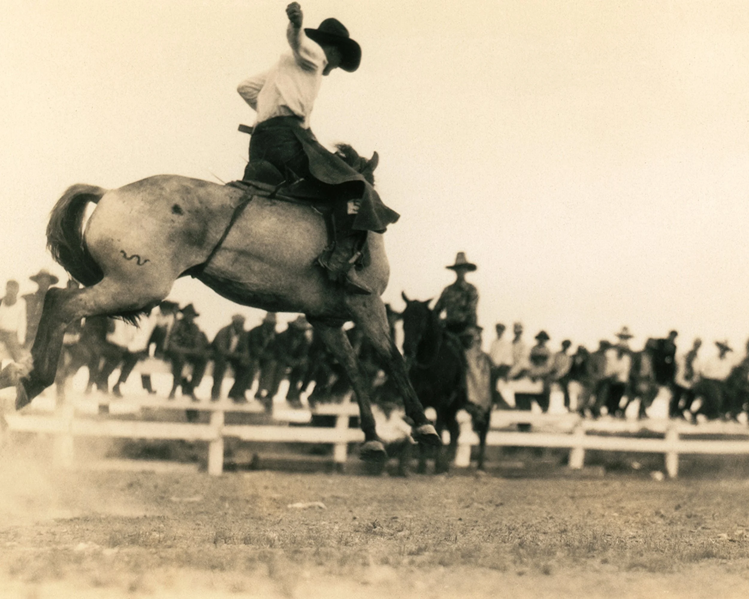 #101 A. R. Mitchell Photo Collection