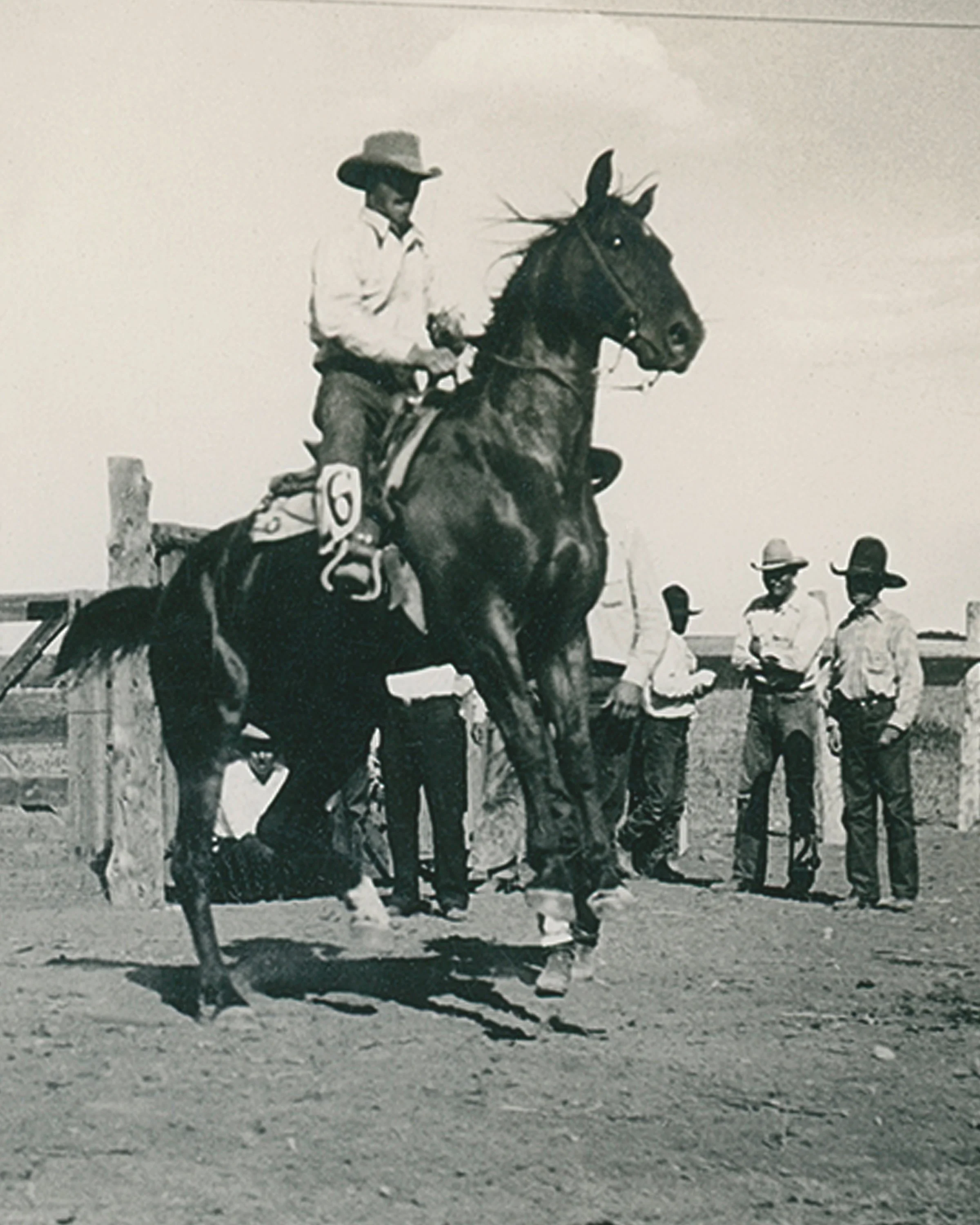 #444 A. R. Mitchell Photo Collection